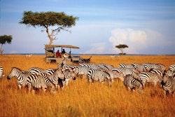 Safari at Saruni Mara Lodge