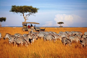 Saruni Mara Lodge image 3