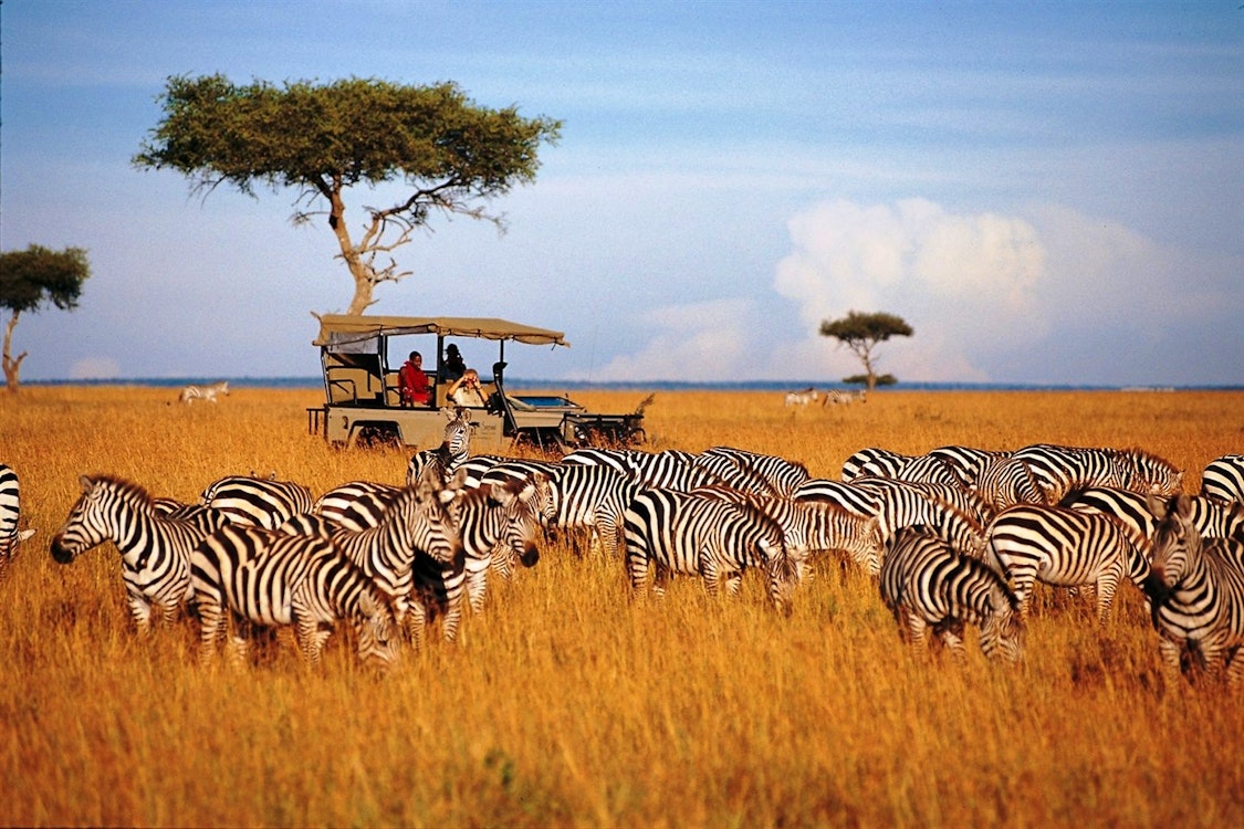 Safari at Saruni Mara Lodge