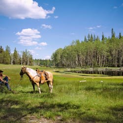 Horses at Siwash Lake Ranch
