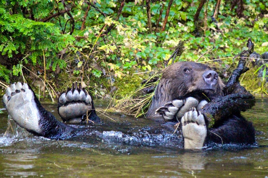 Putting Their Feet Up - Photo by Phil Charles