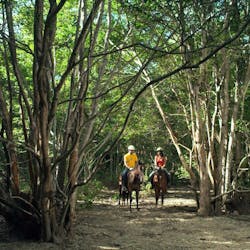 Horse Back Riding at Menjangan Resort, Bali