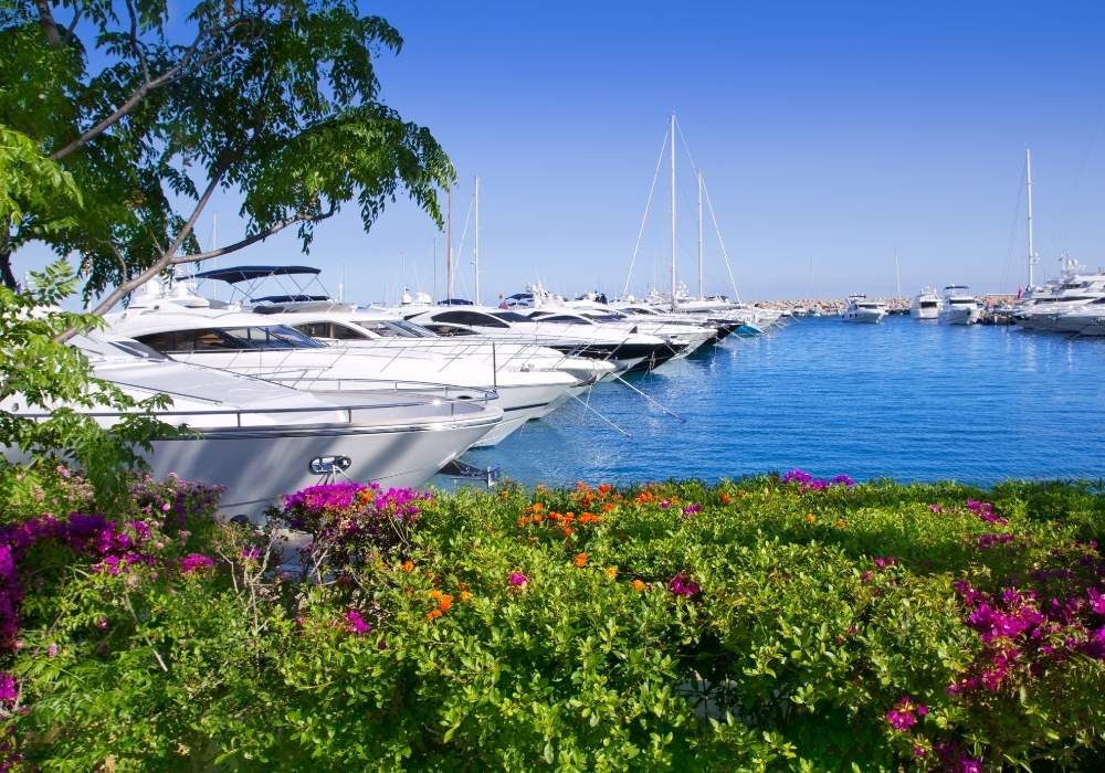 Mallorca yachts