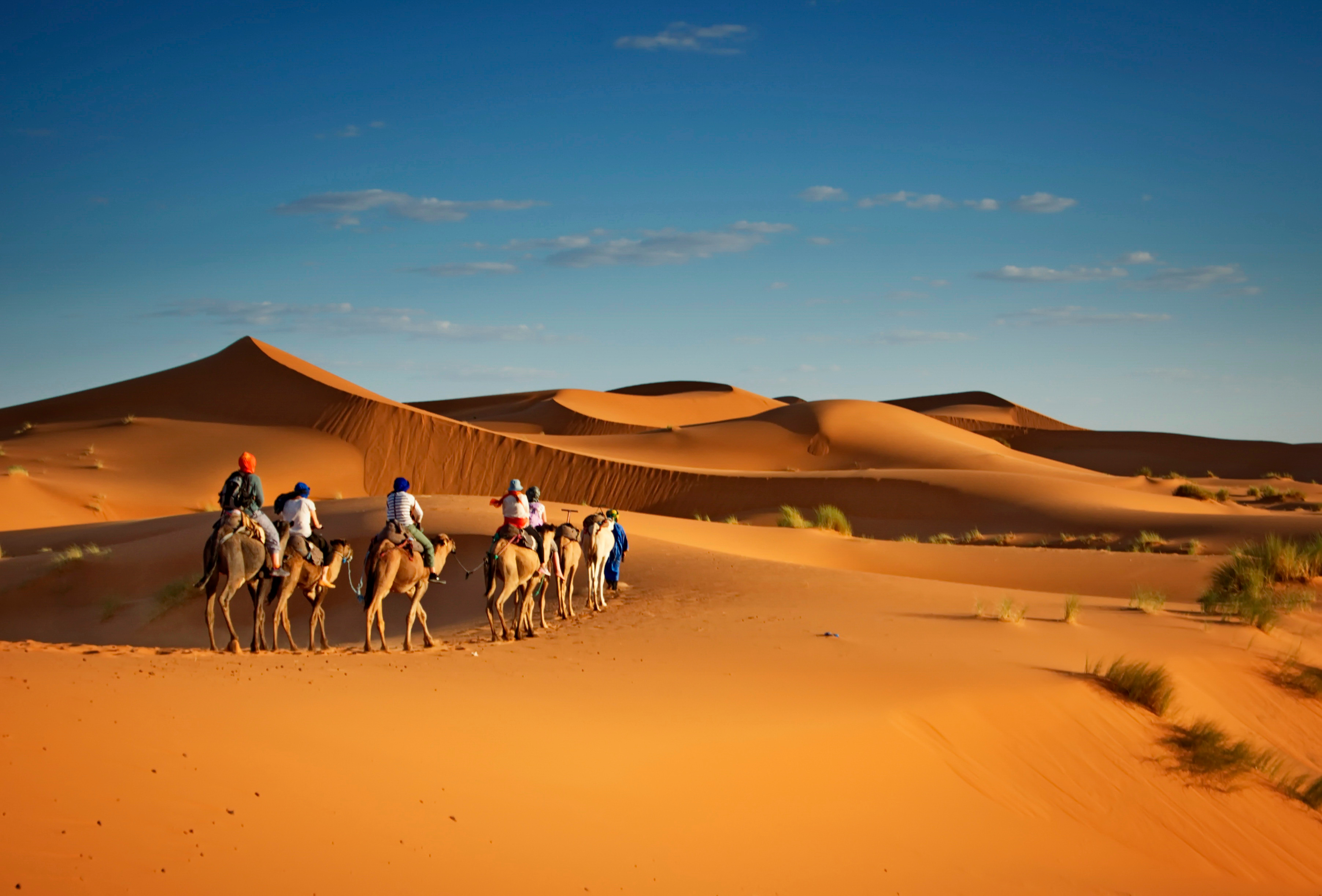 Camel Riding Wahibi Sands, Oman