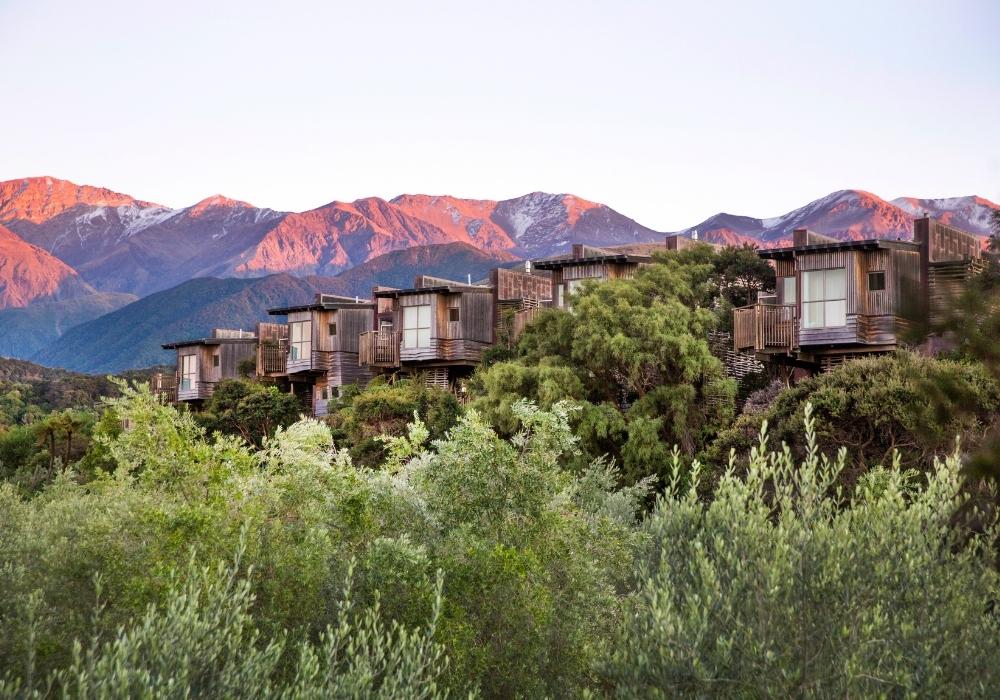 Hapuku Lodge + Tree Houses