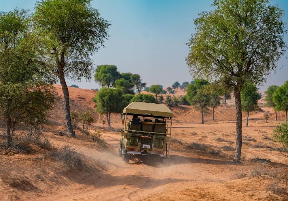 Ras Al Khaimah nature drive