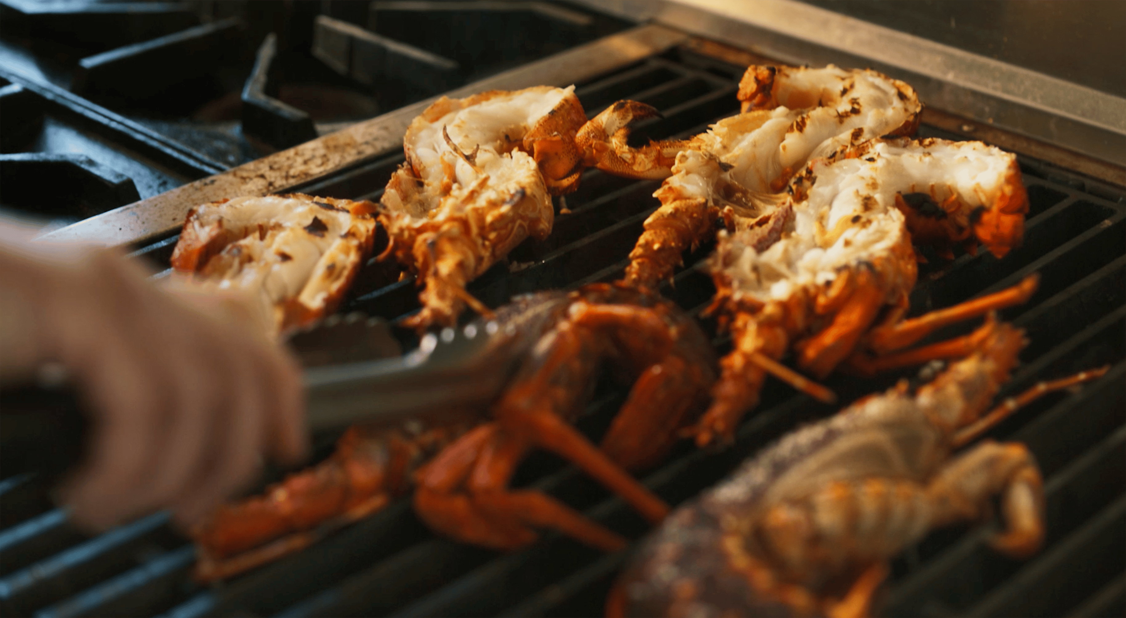 Full Day Private Cook & Catch Kaimoana Experience