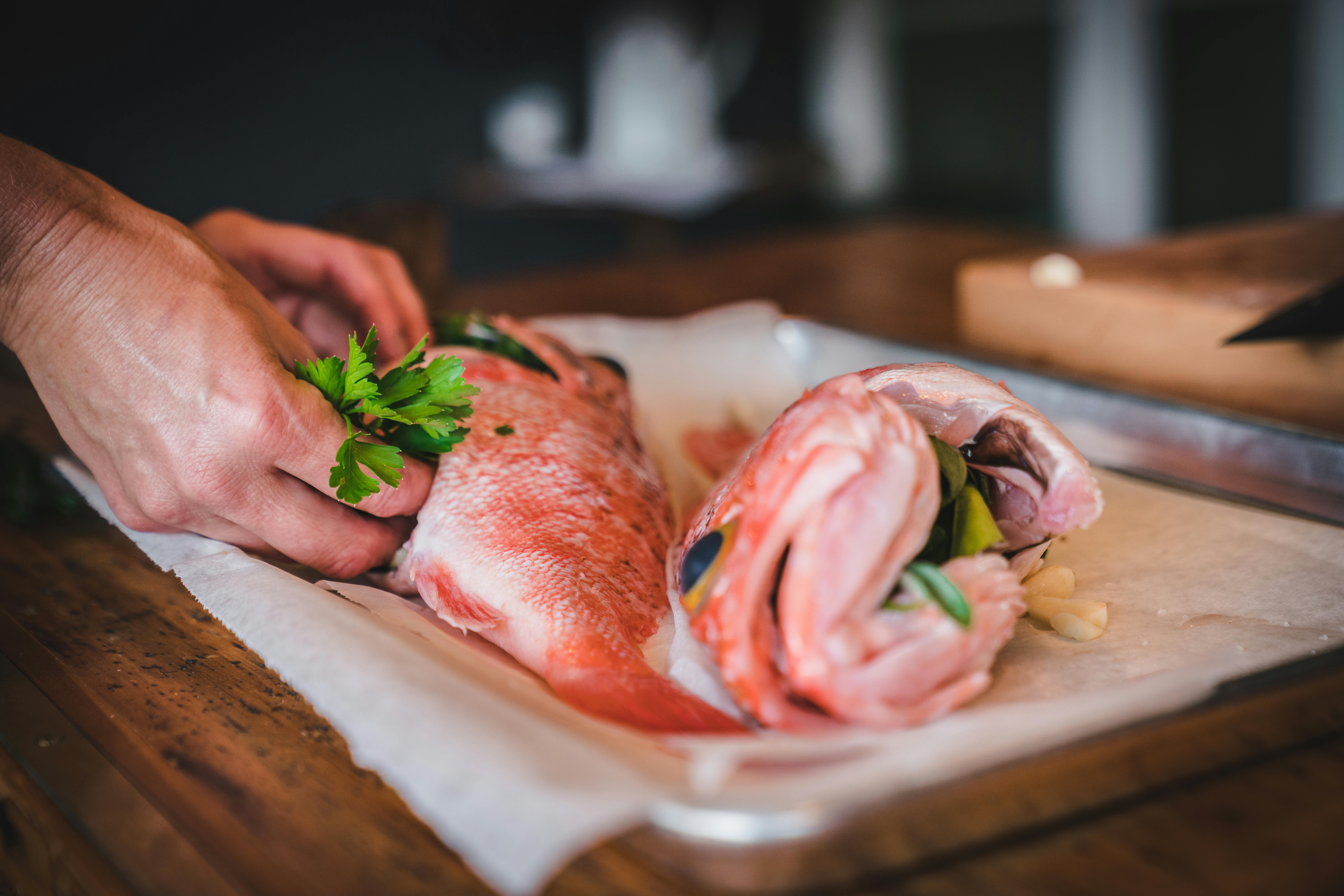 Full Day Private Cook & Catch Kaimoana Experience