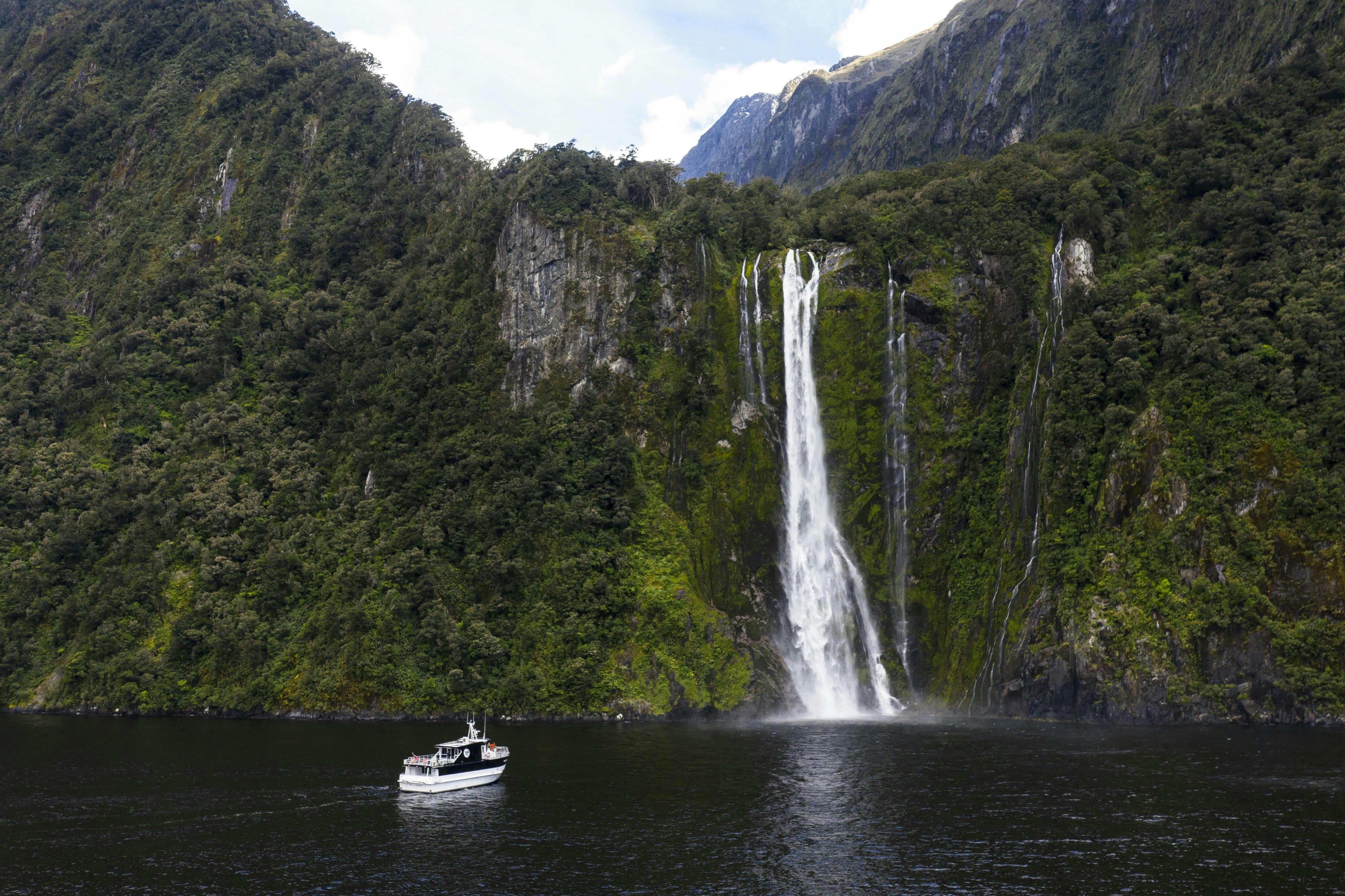 Milford Sound Business Class