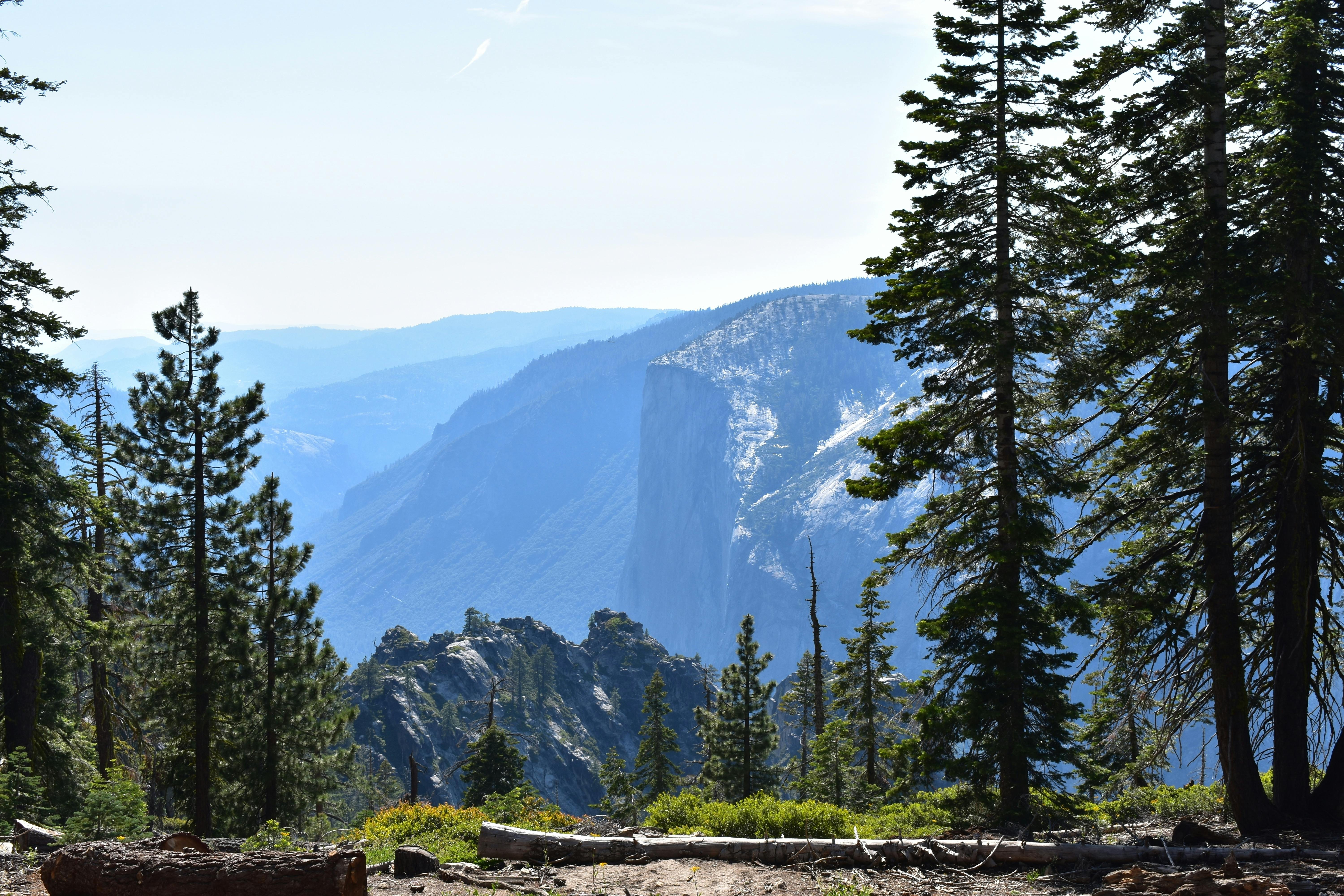 Yosemite National Park, California