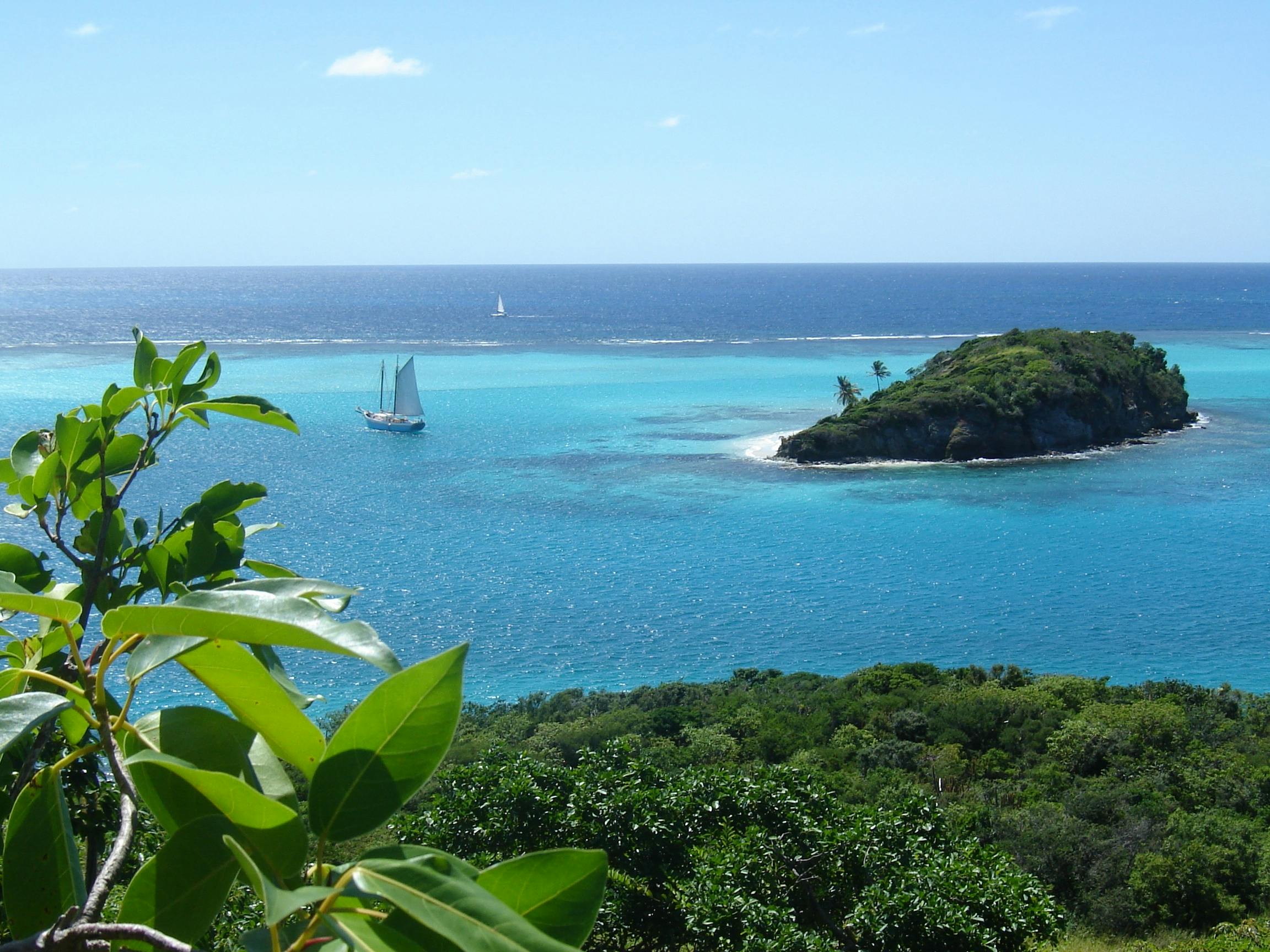The Friendship Rose Schooner 5