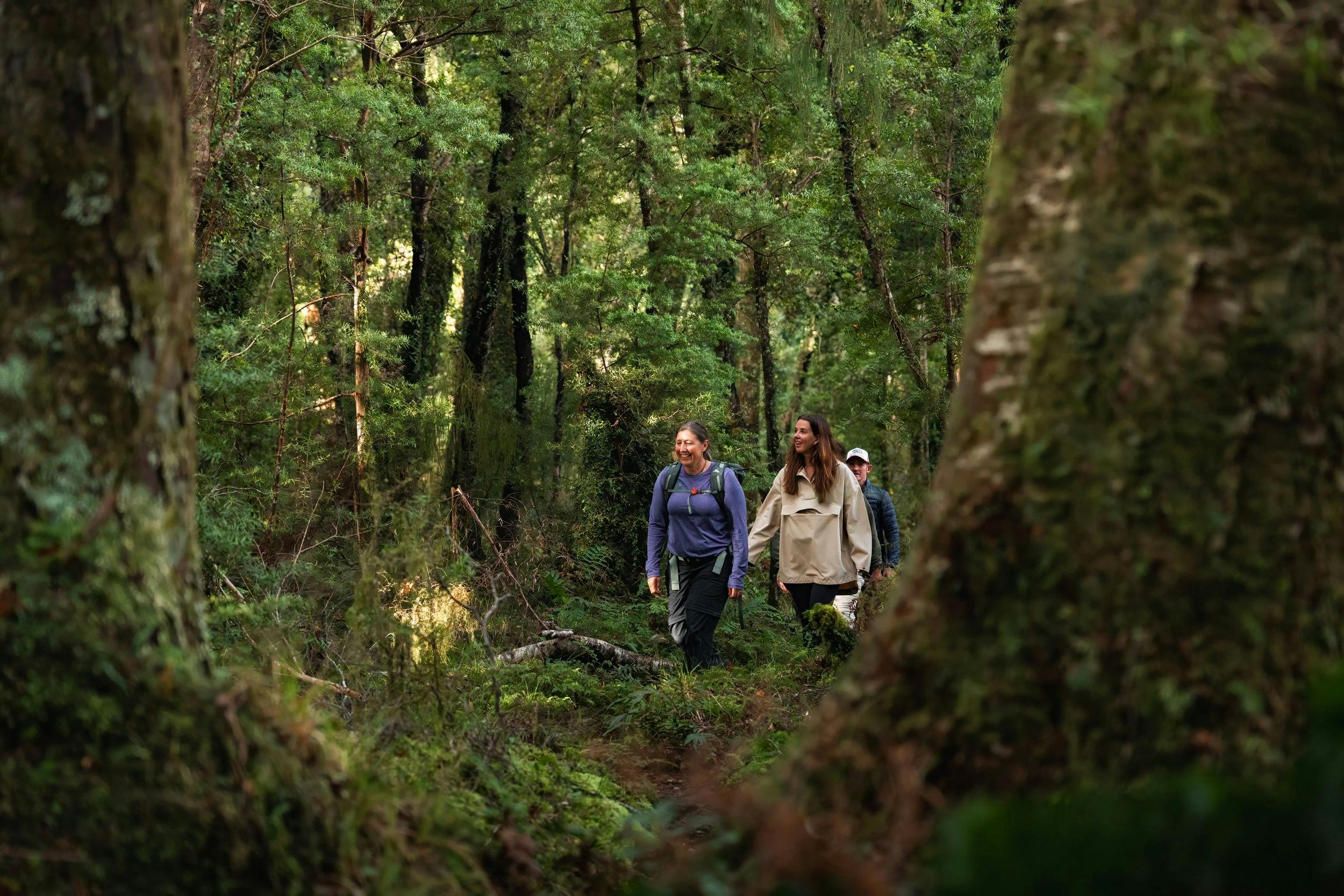 Hollyford – Waitai Lodge Fiordland Escape