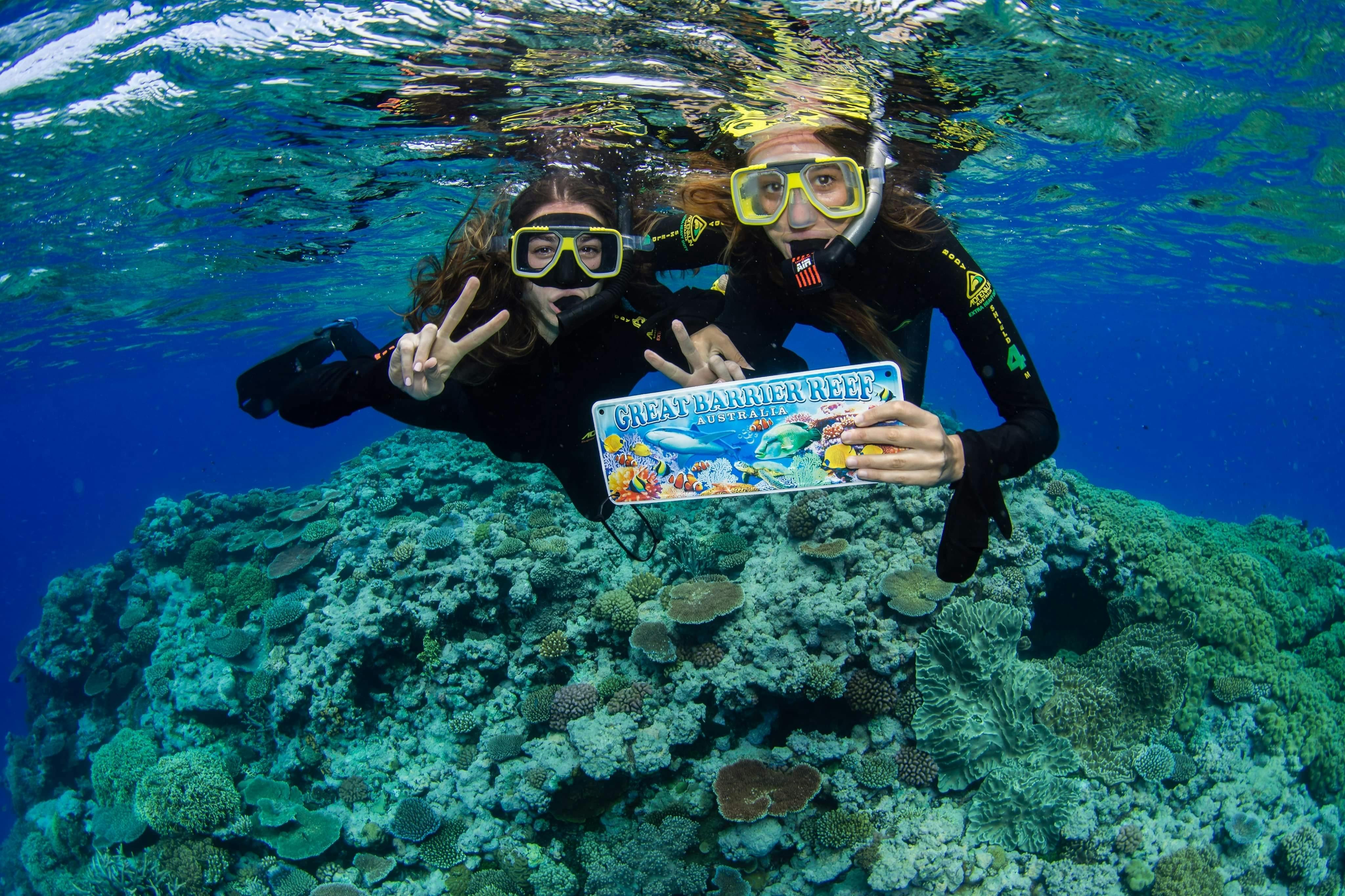 Be a Marine Bio – Private Guide Eco Tour