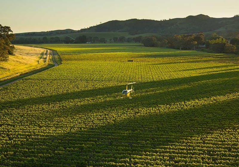 Barossa Valley helicopter