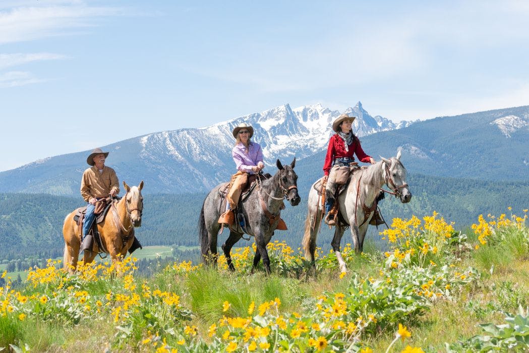 Horse riding in Montana
