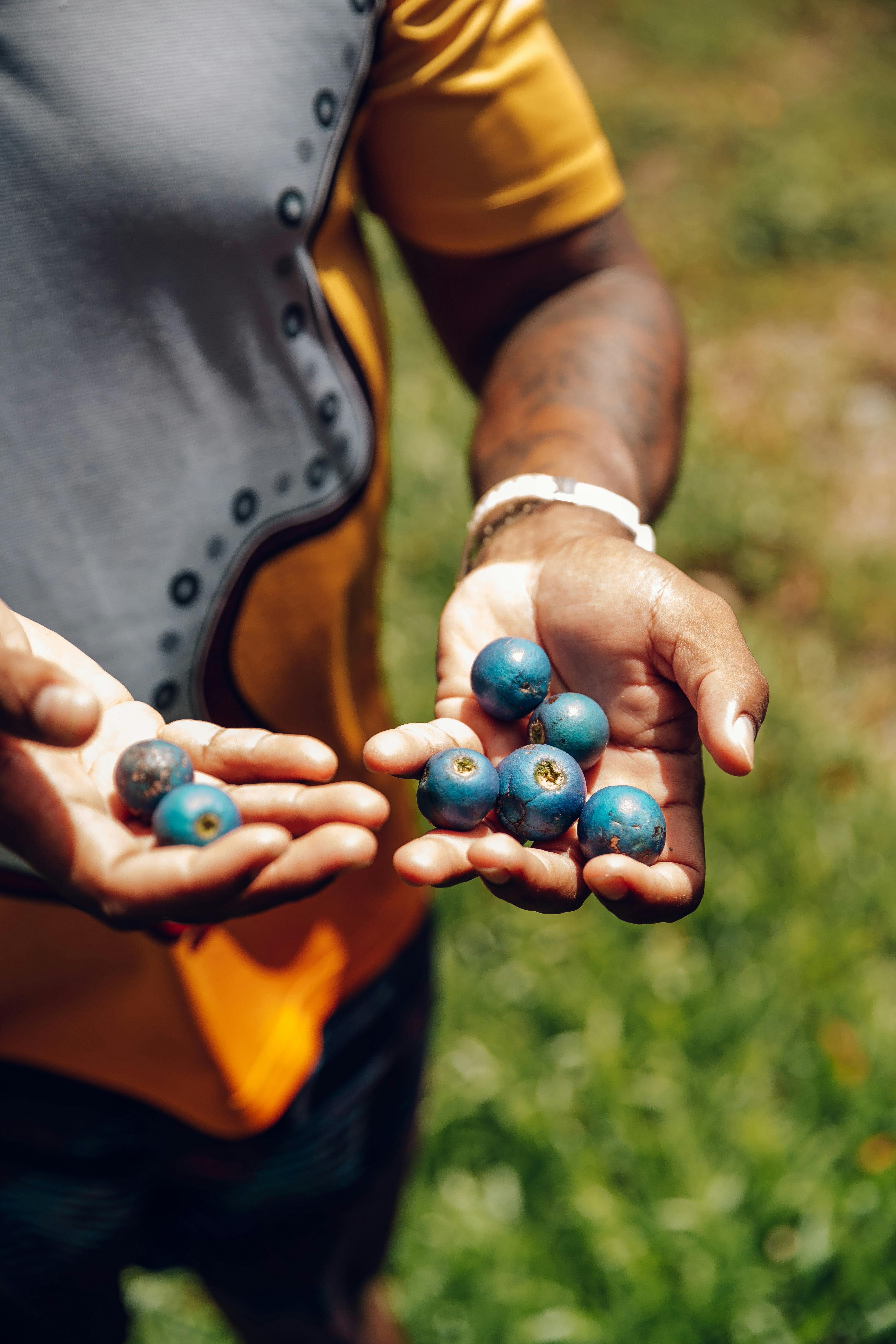 Full Day Ngana Julaymba Dungay (Daintree)