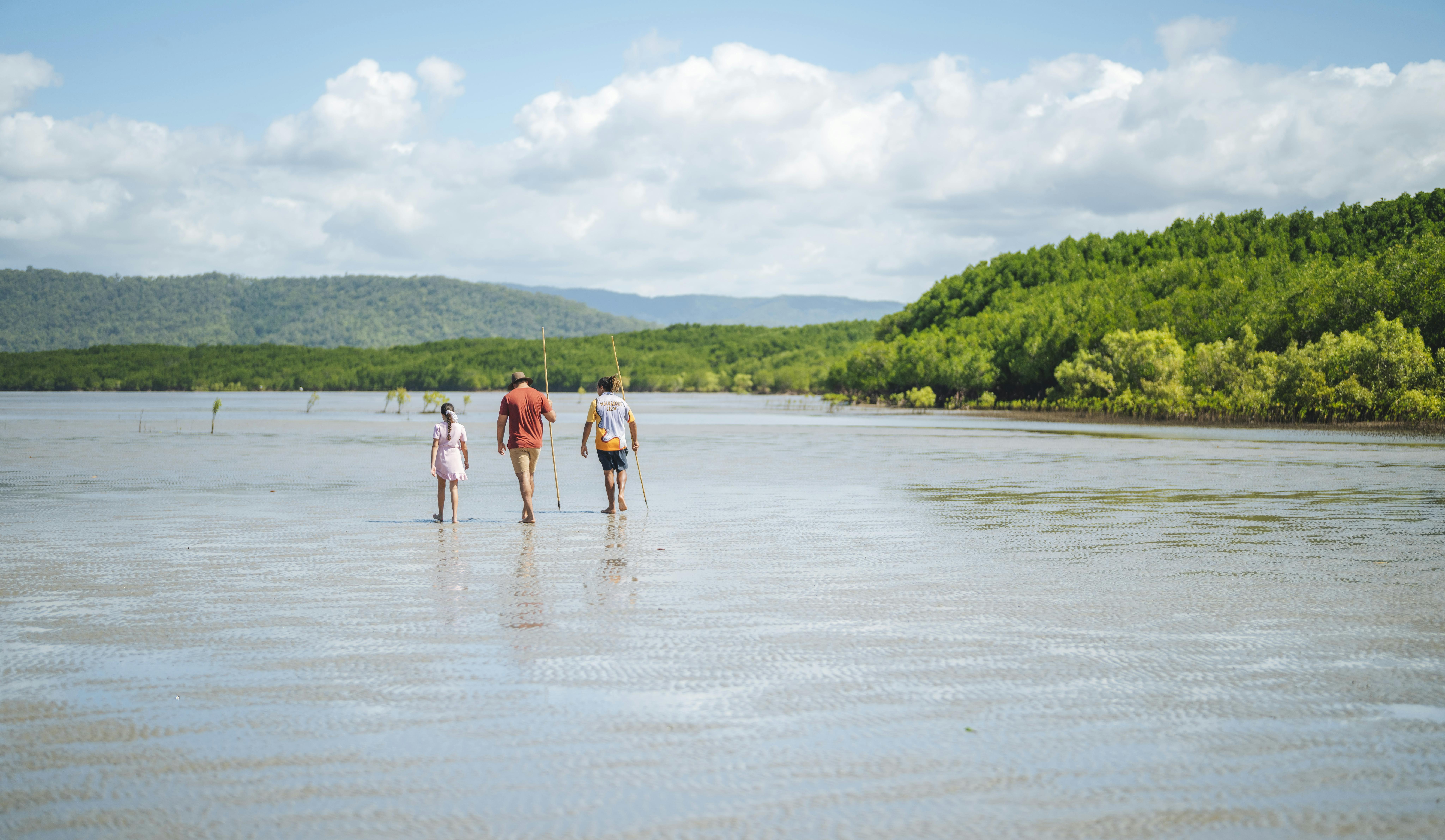 Full Day Ngana Julaymba Dungay (Daintree)