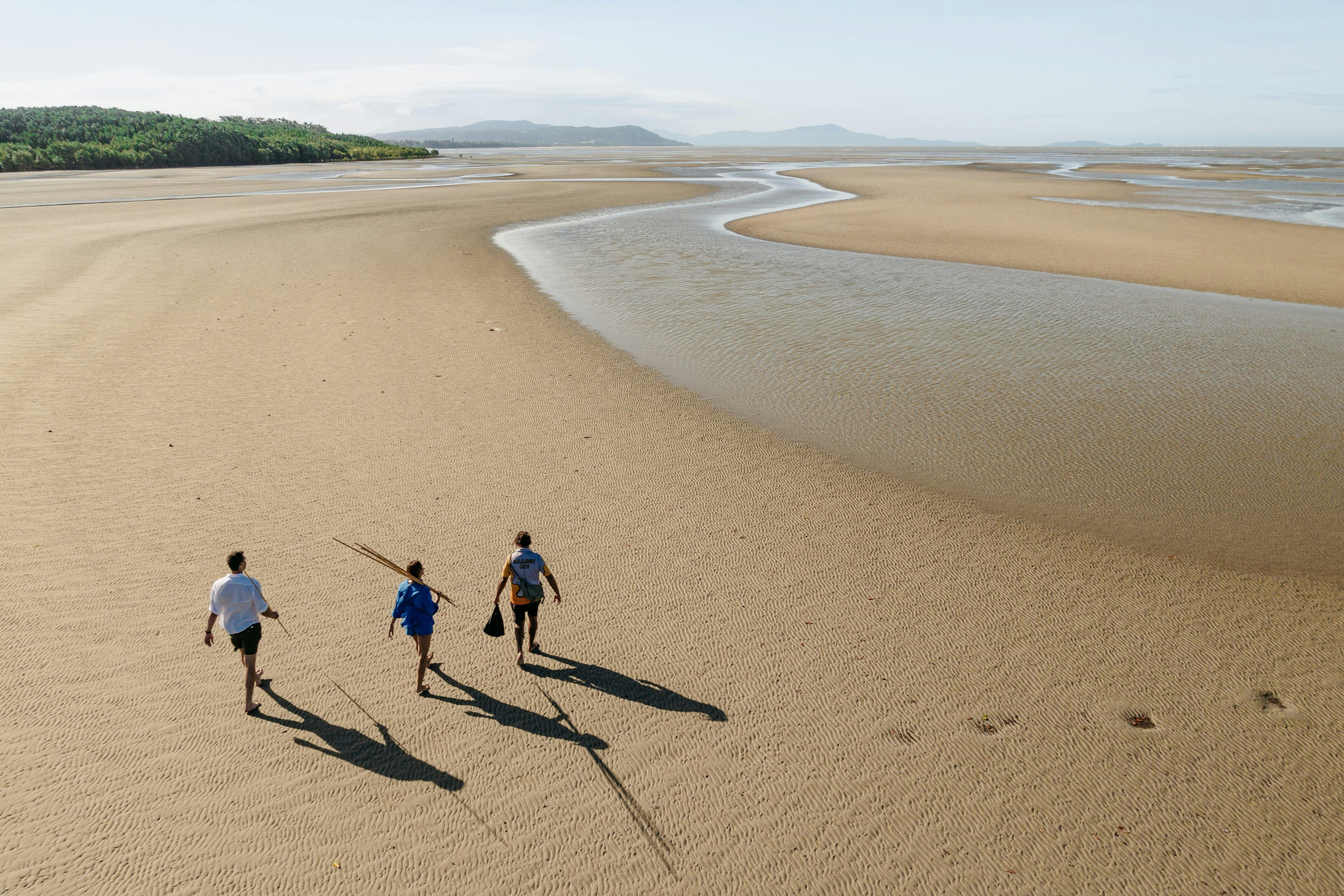 Full Day Ngana Julaymba Dungay (Daintree)