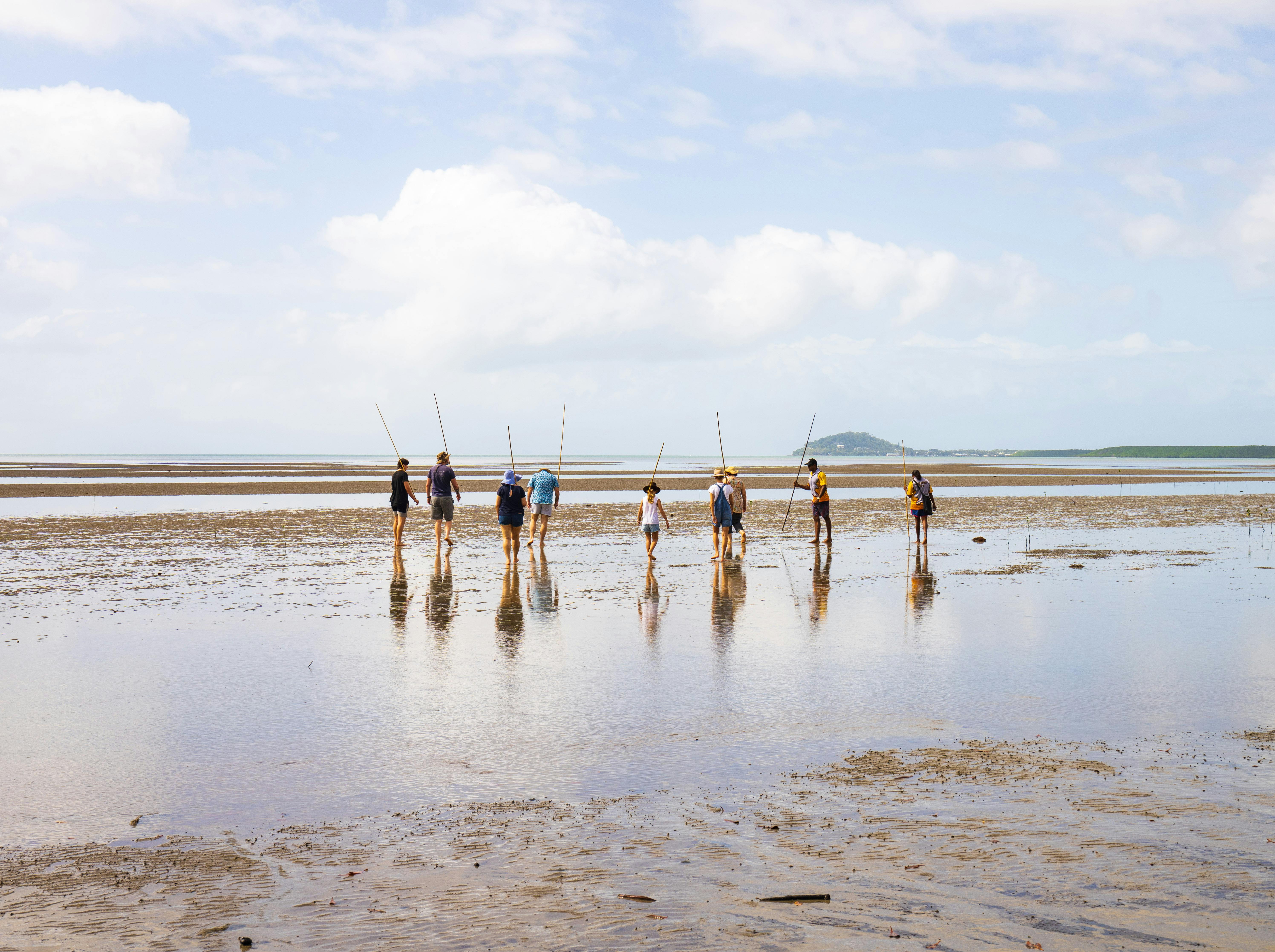 Full Day Ngana Julaymba Dungay (Daintree)