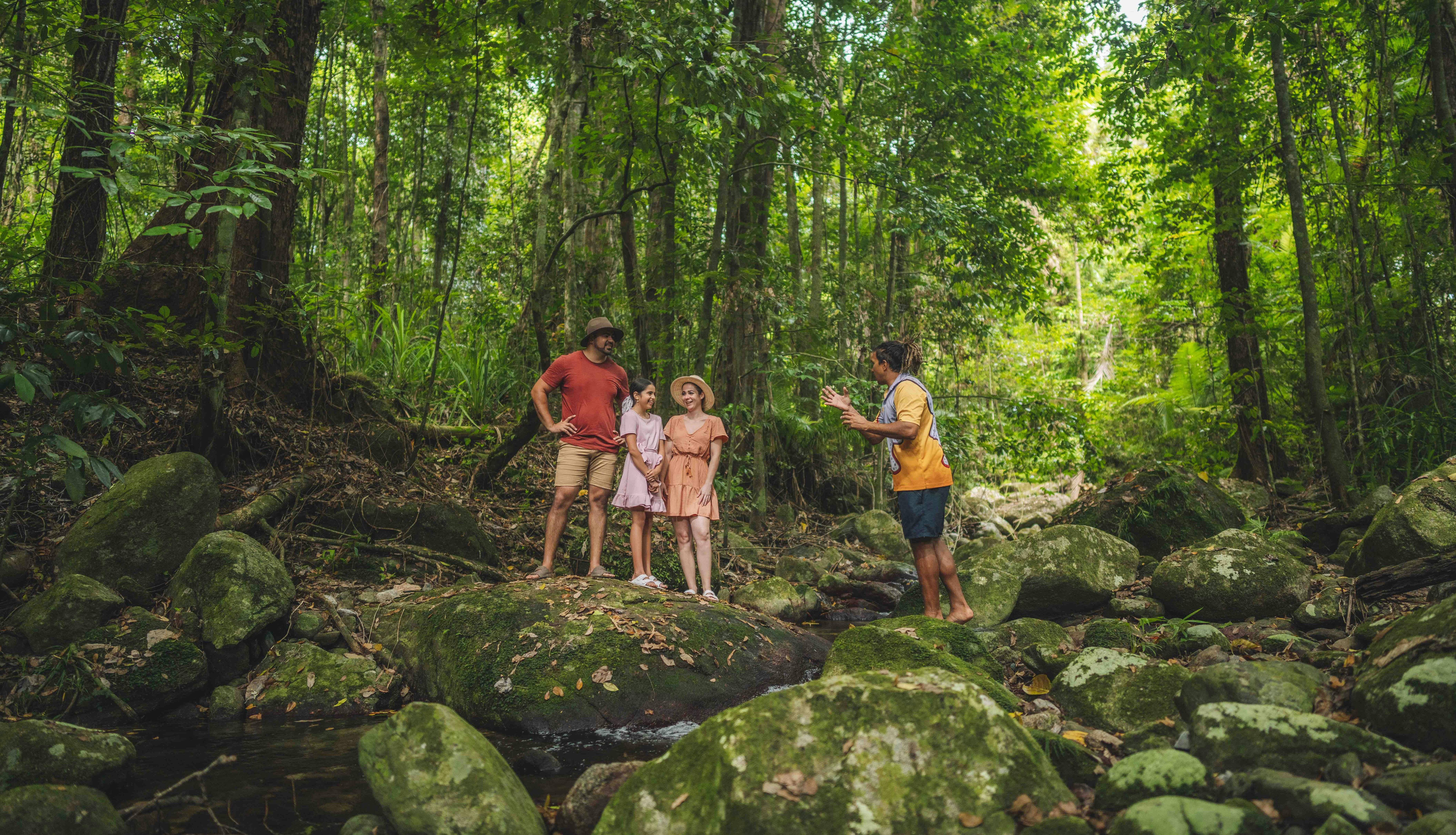 Full Day Ngana Julaymba Dungay (Daintree)