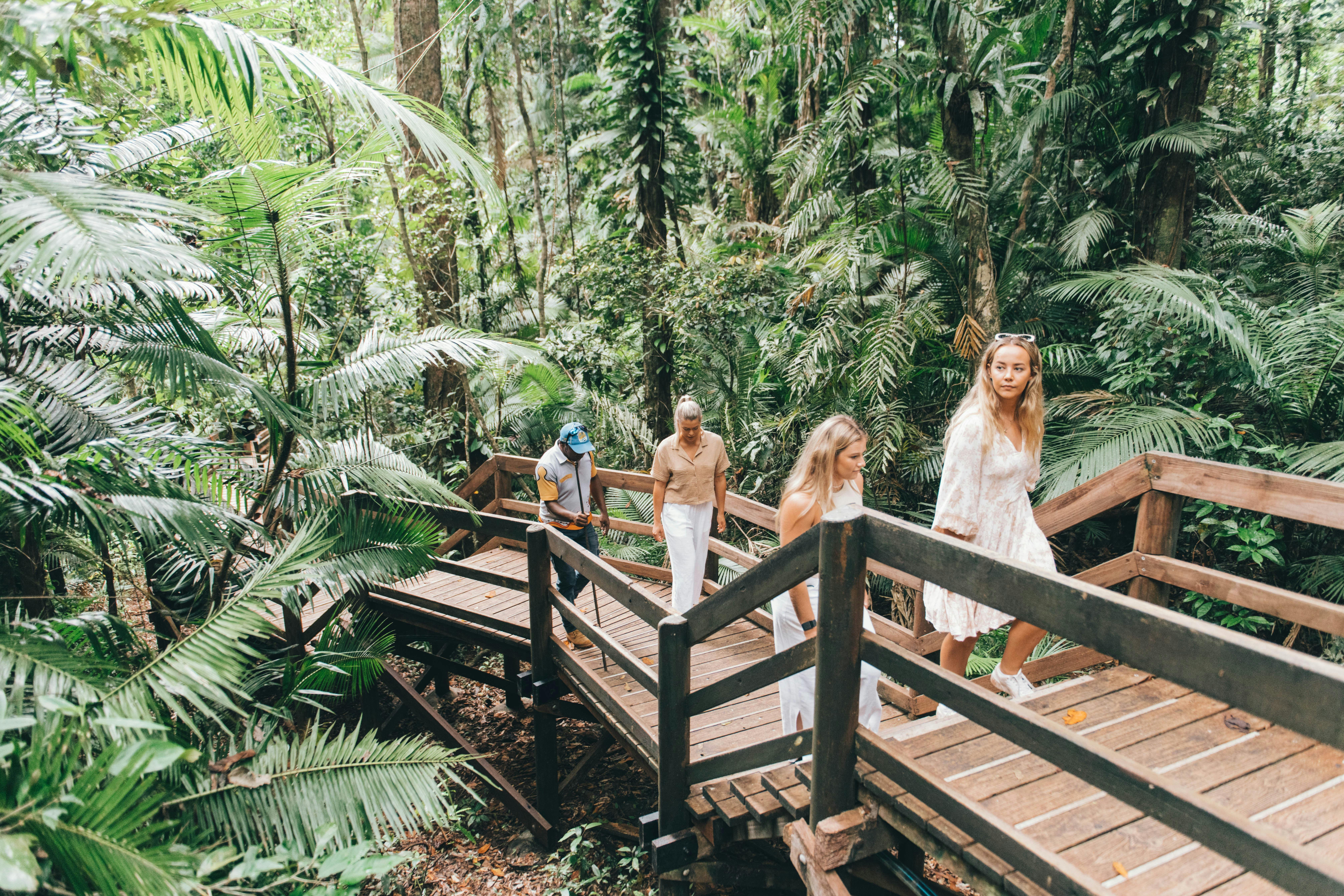 Full Day Ngana Kulkinga Dungay (Cape Tribulation)