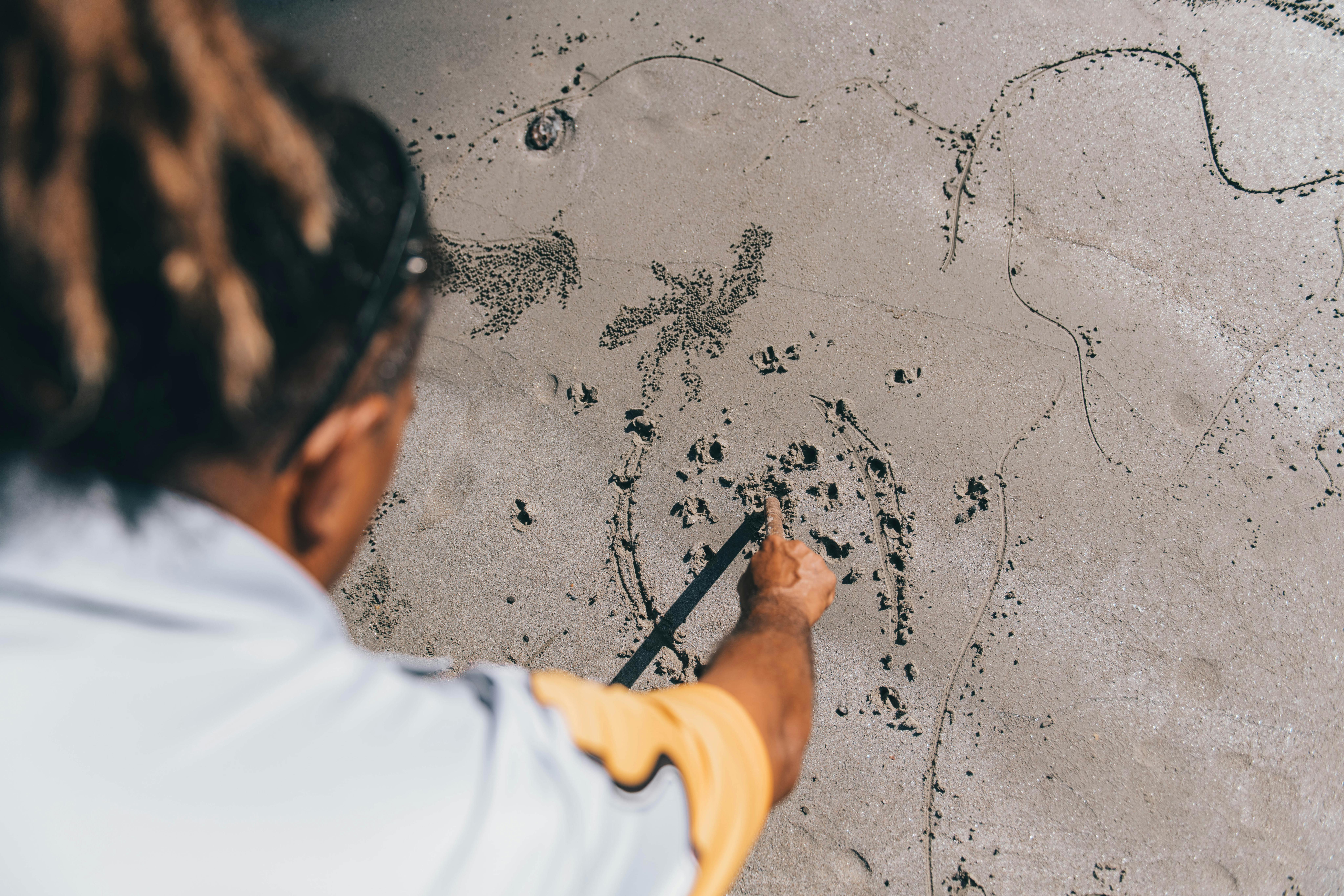 Full Day Ngana Kulkinga Dungay (Cape Tribulation)