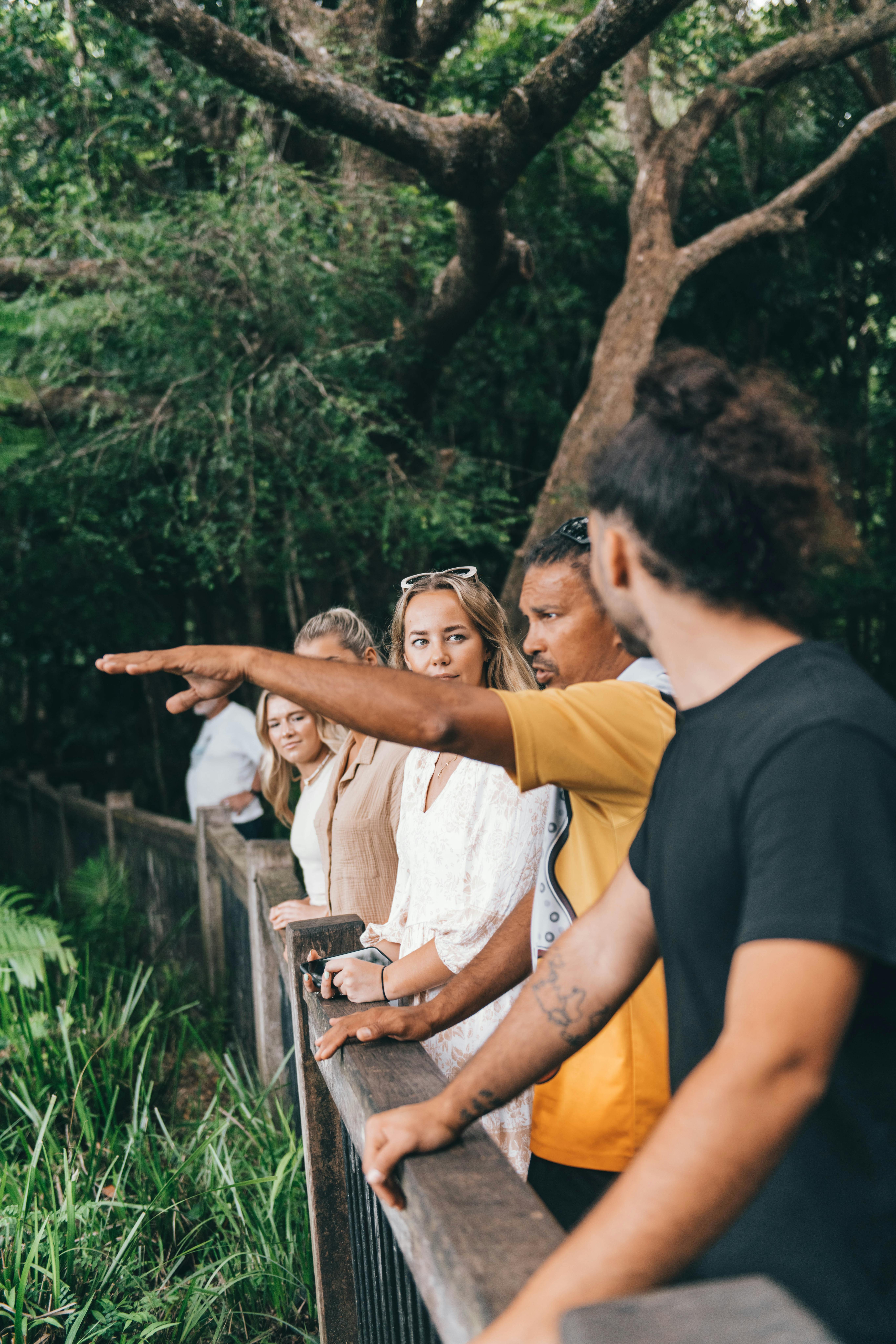 Full Day Ngana Kulkinga Dungay (Cape Tribulation)