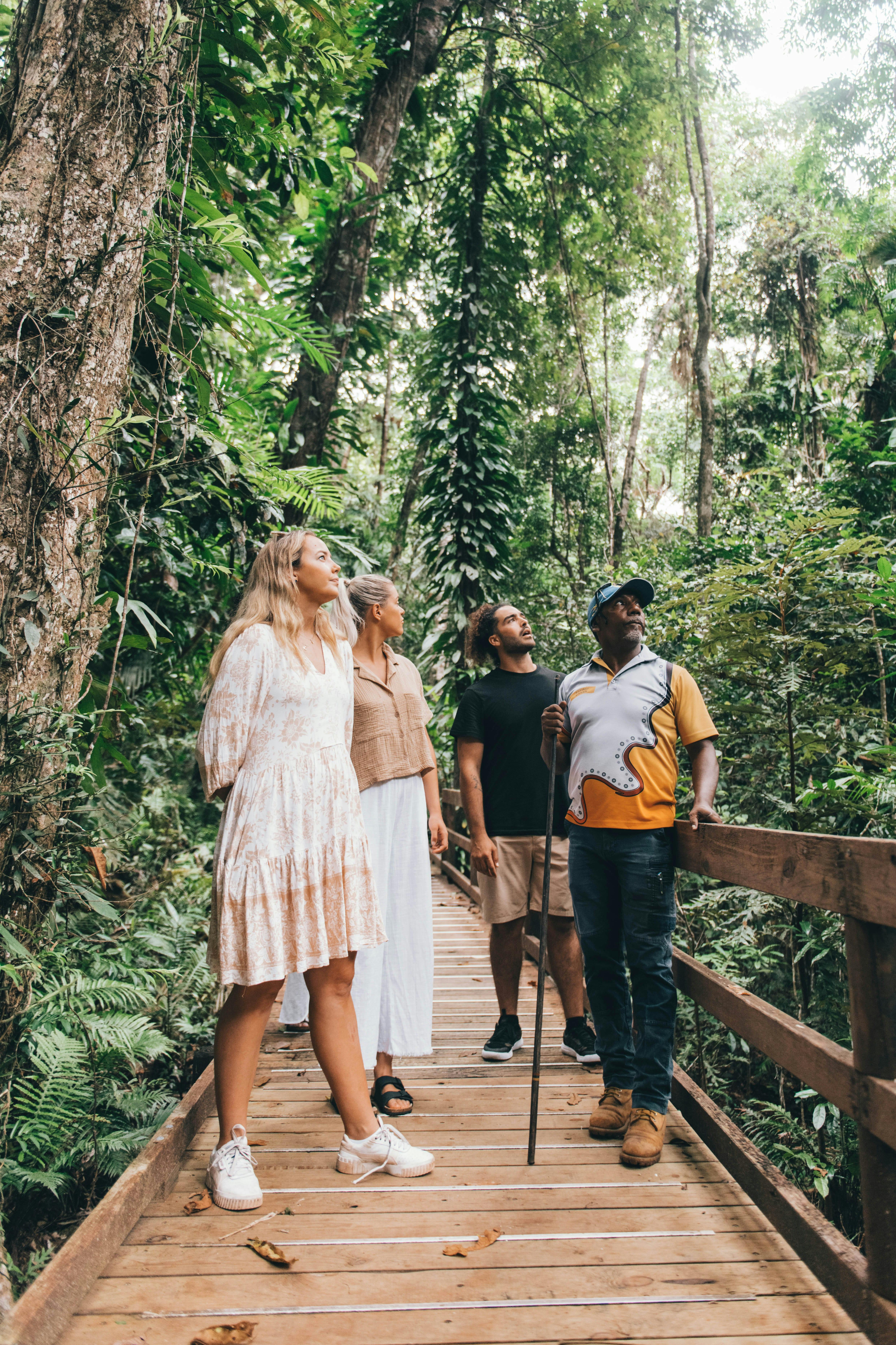 Full Day Ngana Kulkinga Dungay (Cape Tribulation)