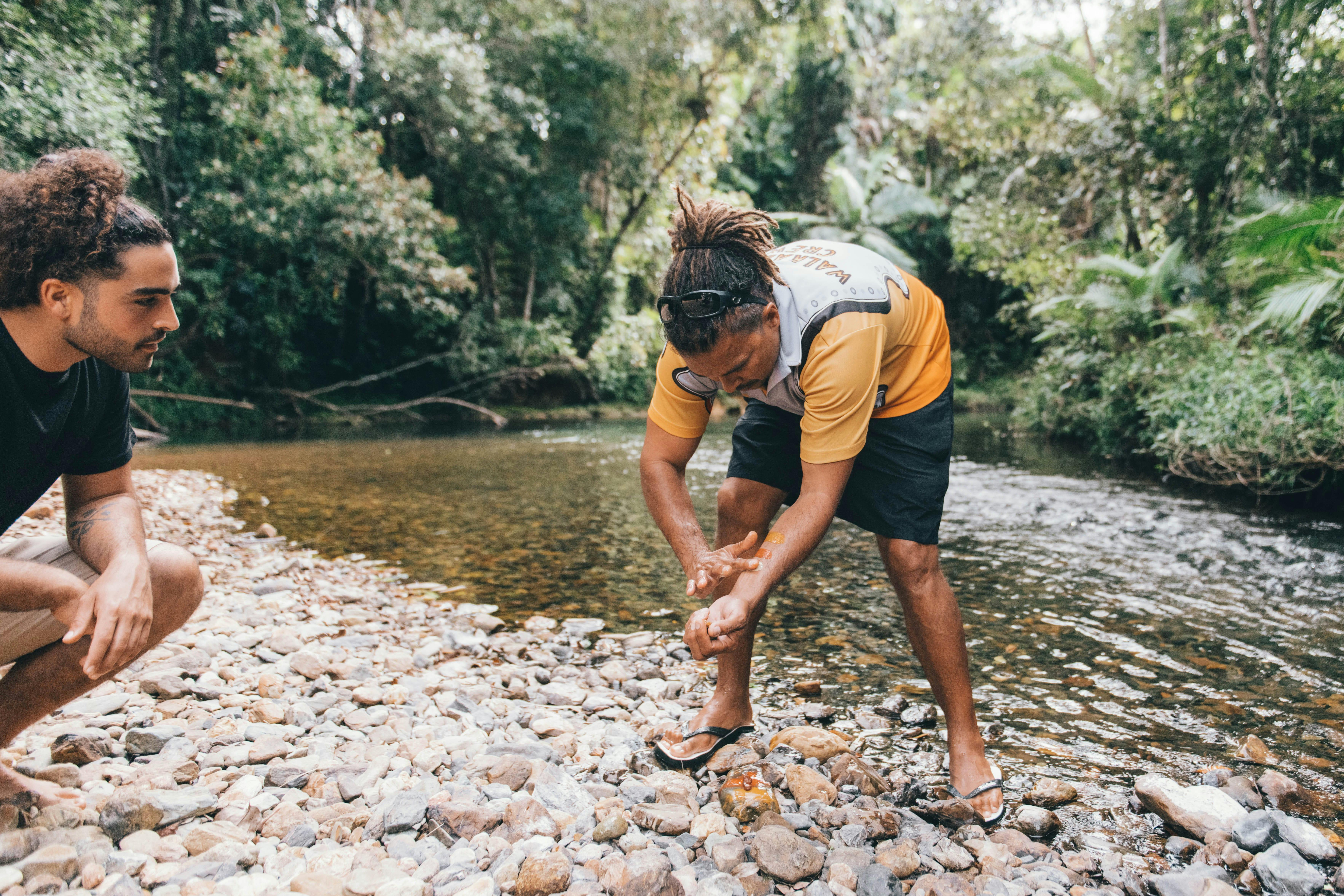 Full Day Ngana Kulkinga Dungay (Cape Tribulation)
