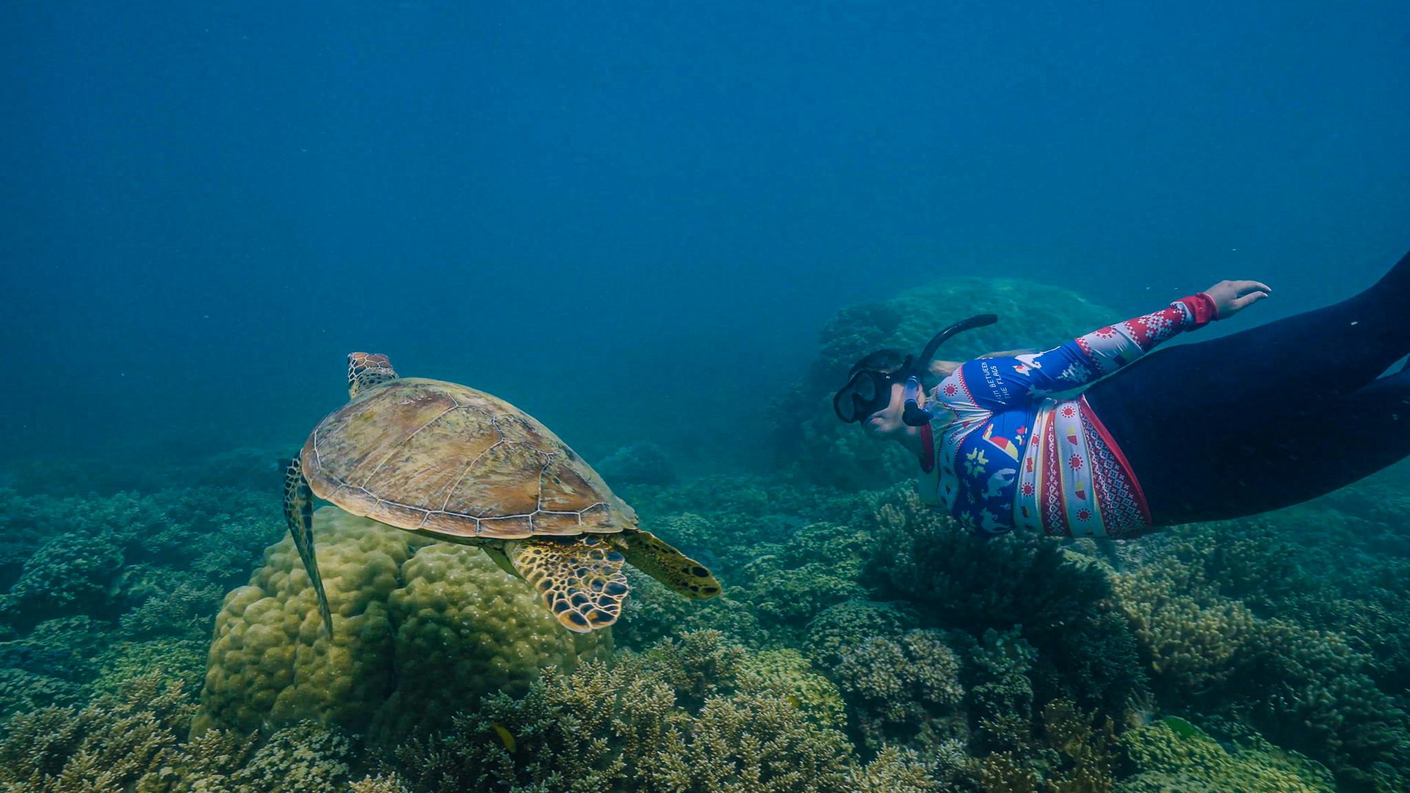 Barrier Reef & Fitzroy Island Full Day | Snorkelling