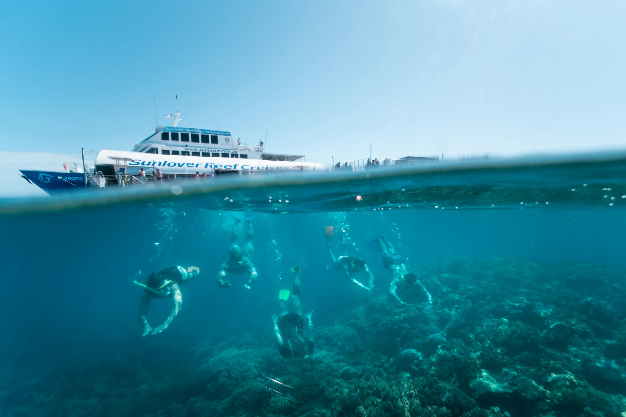 Barrier Reef & Fitzroy Island Full Day | Reef Snorkelling