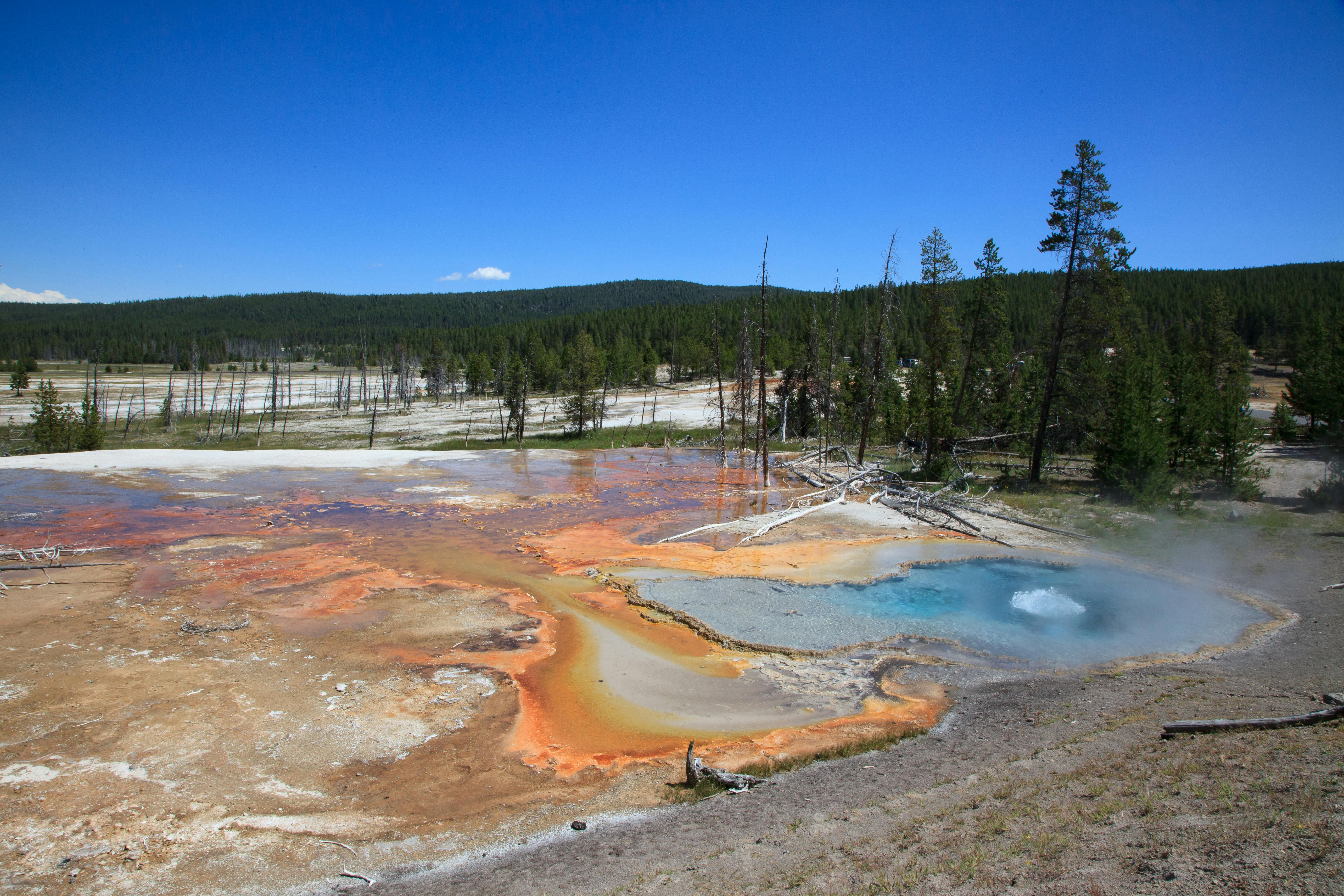 Best of Yellowstone