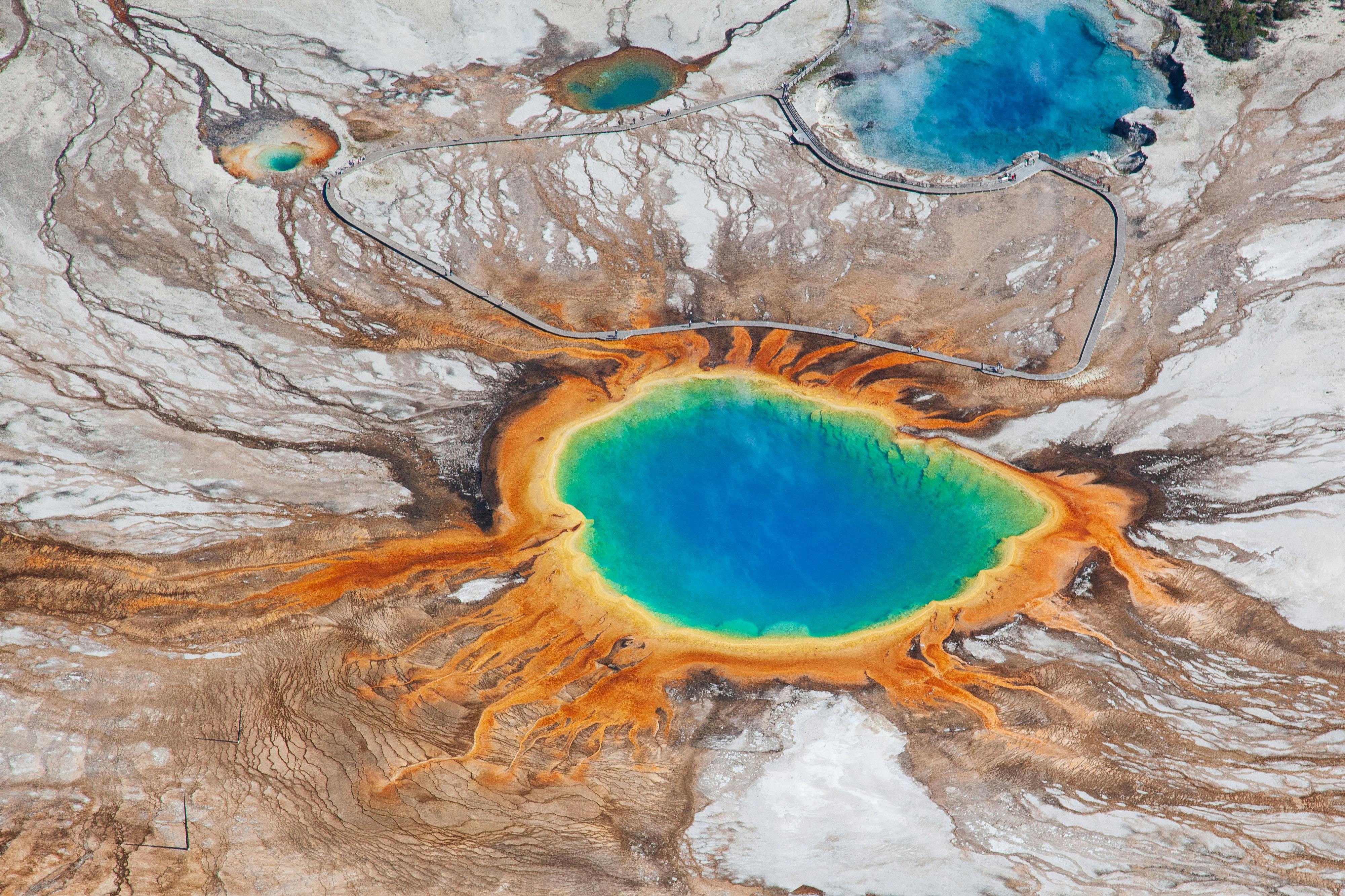 Best of Yellowstone | Picture Credit: Professional Naturalist Guide Team, Jackson Hole Wildlife Safaris