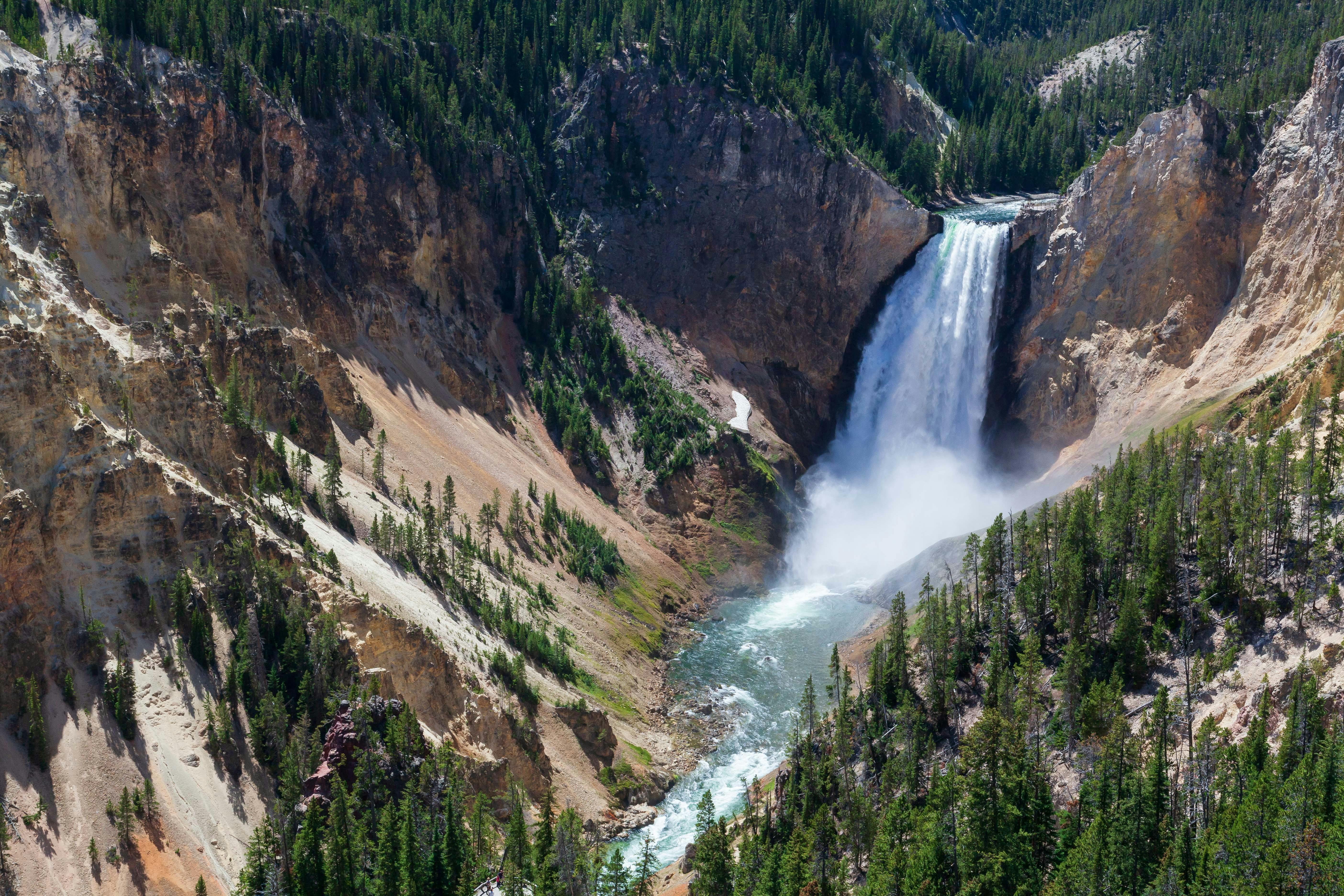 Best of Yellowstone | Picture Credit: Professional Naturalist Guide Team, Jackson Hole Wildlife Safaris