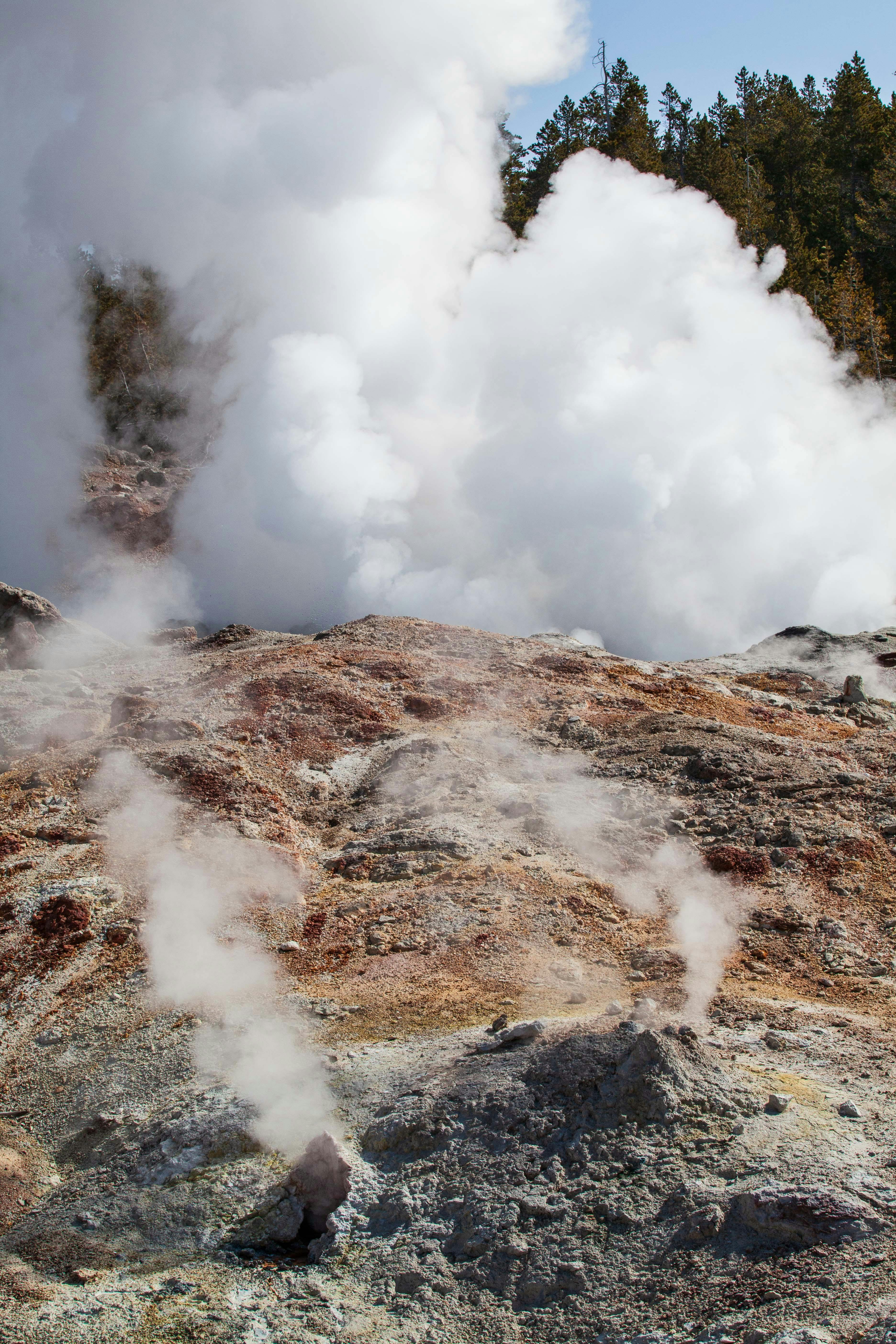 Best of Yellowstone | Picture Credit: Professional Naturalist Guide Team, Jackson Hole Wildlife Safaris