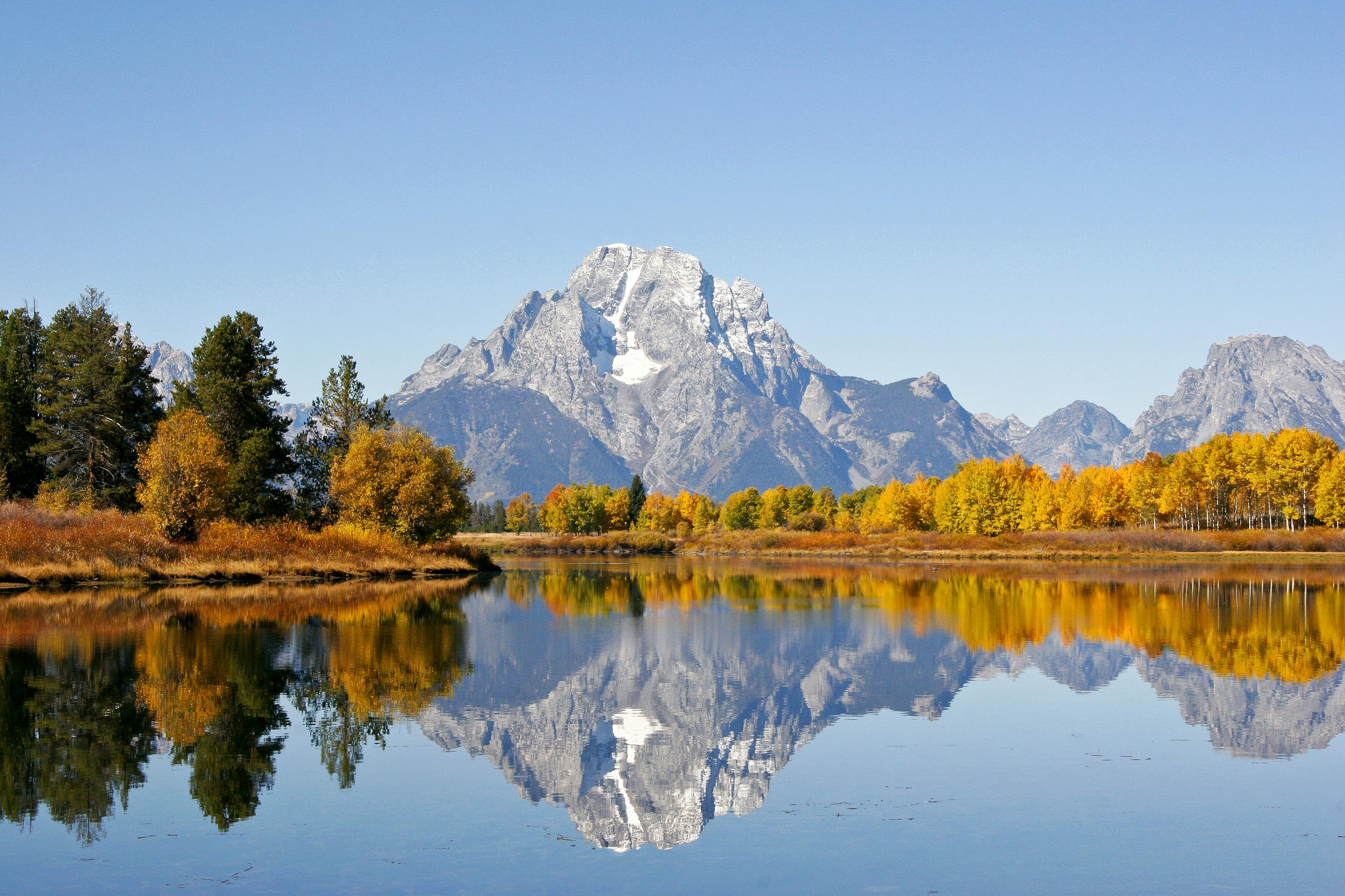 Grand Teton Wildlife Safari