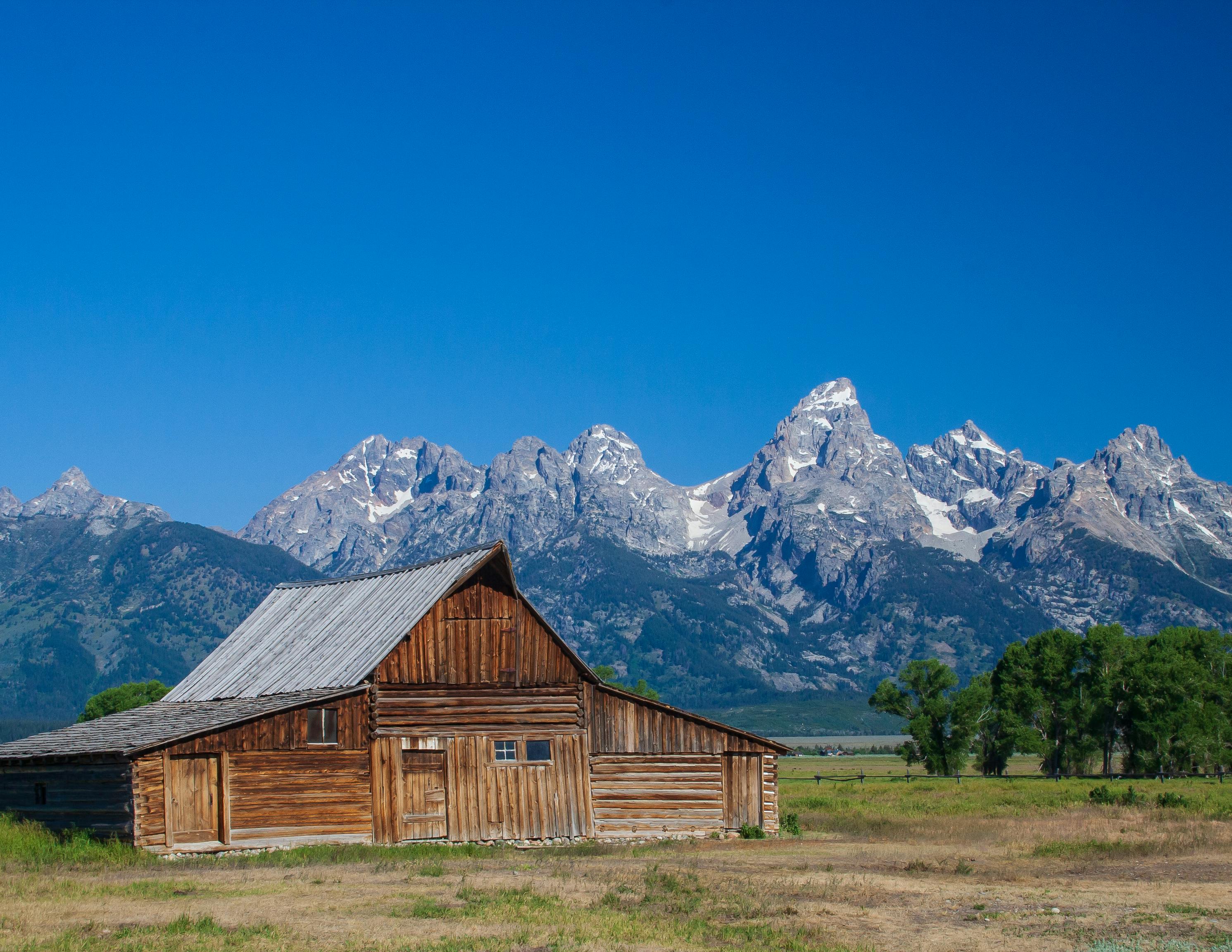 Grand Teton Wildlife Safari | Picture Credit: Professional Naturalist Guide Team, Jackson Hole Wildlife Safaris