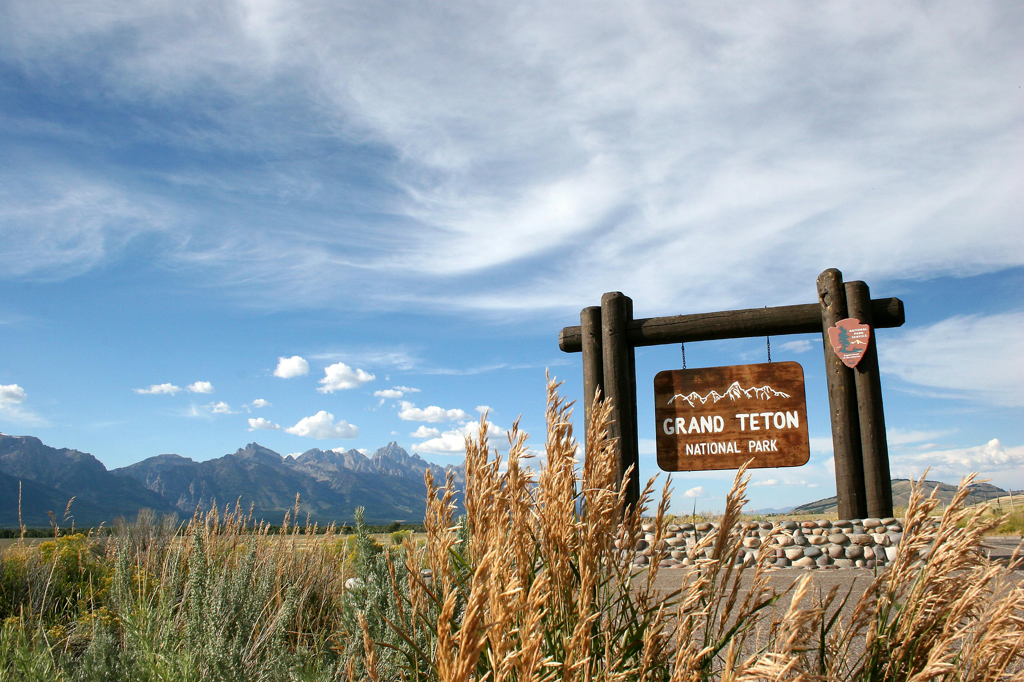 Grand Teton Wildlife Safari | Picture Credit: Professional Naturalist Guide Team, Jackson Hole Wildlife Safaris