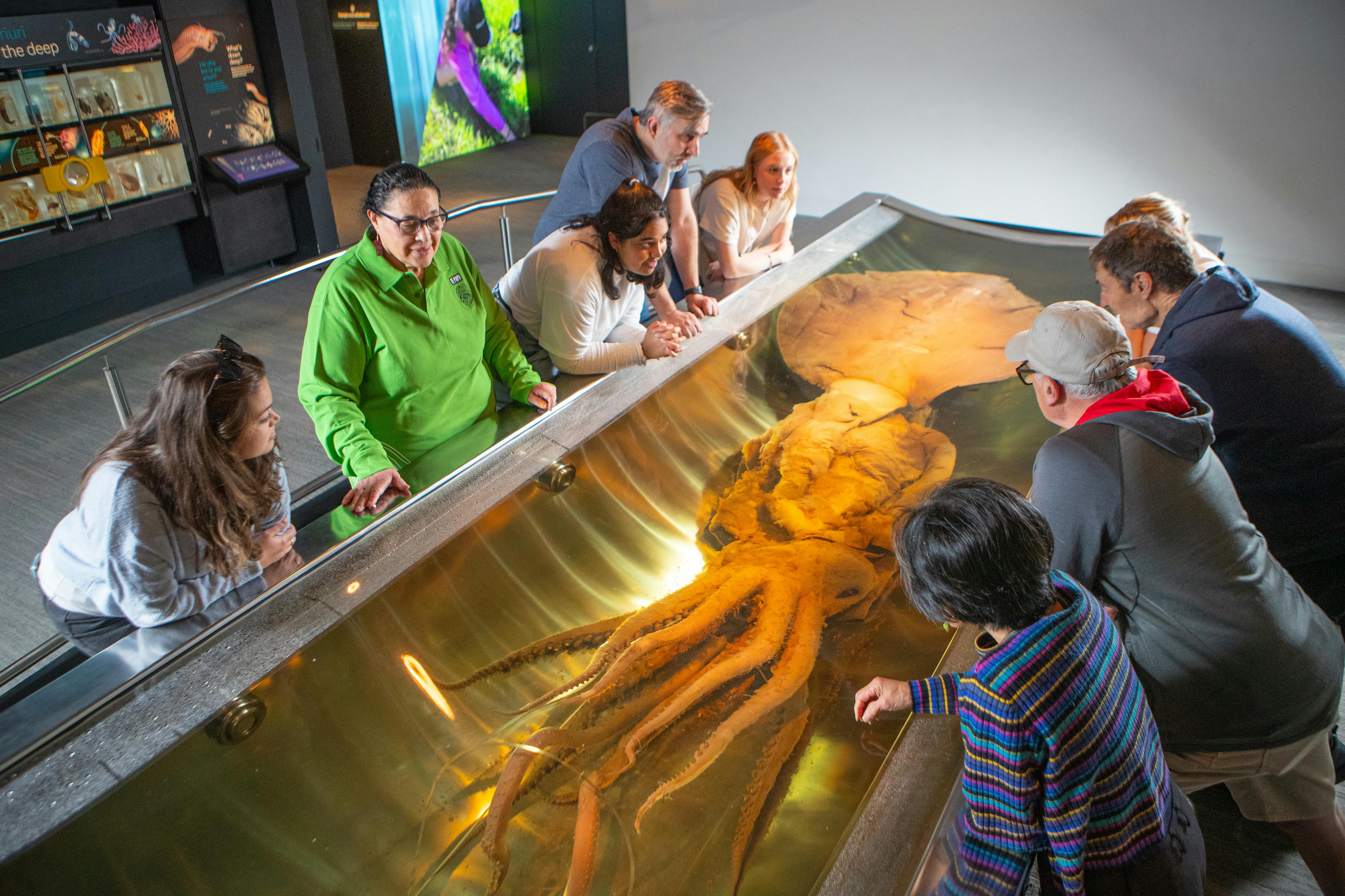 Te Papa Museum - Back of House Tour 6
