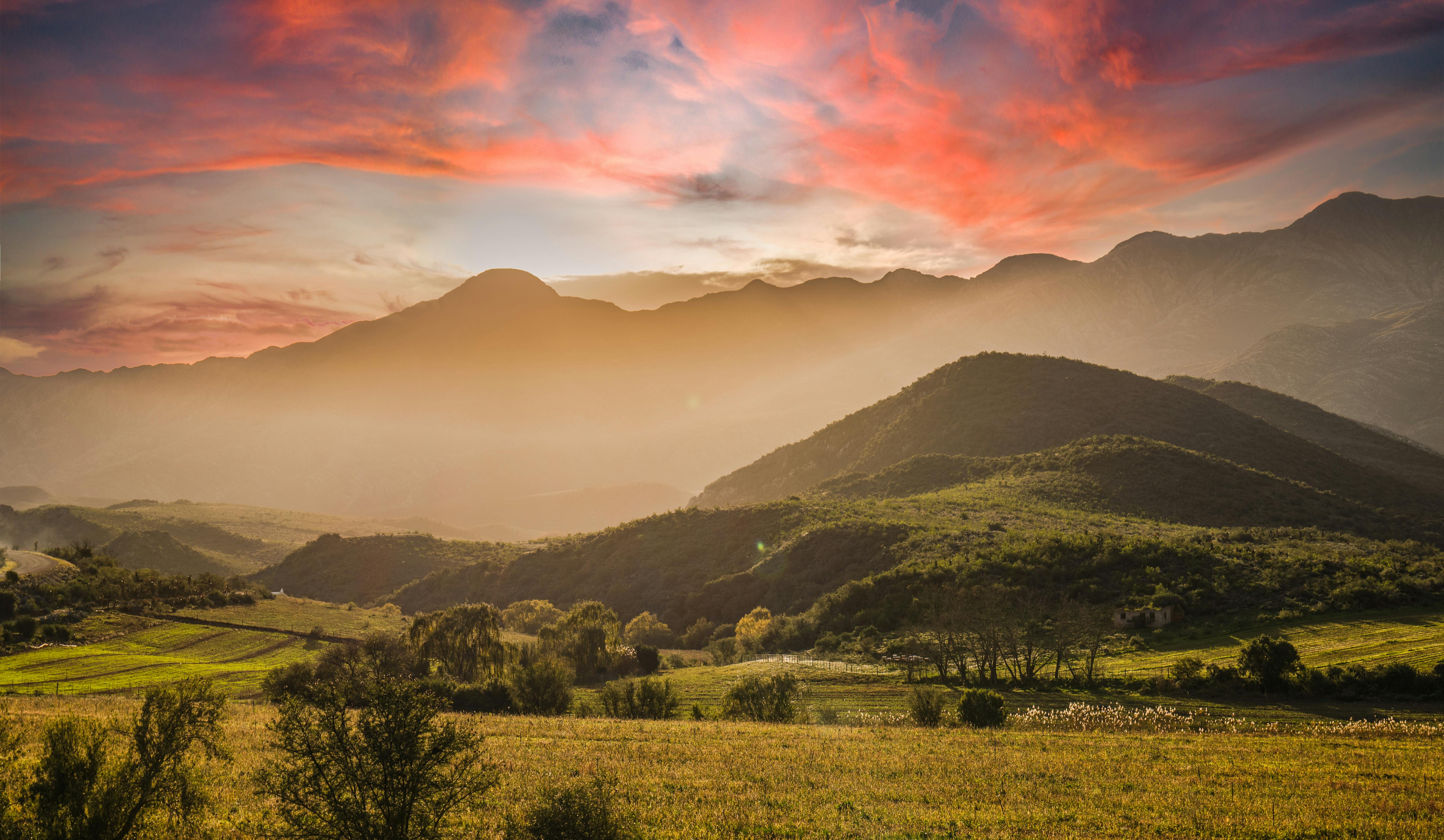 Winelands of Cape Town