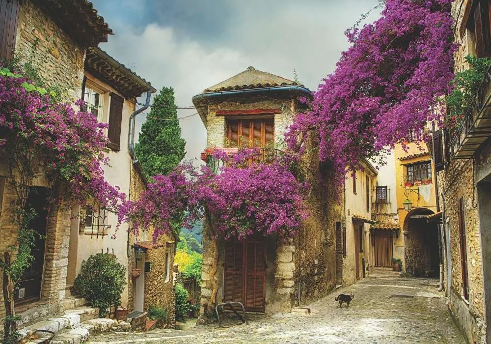 Charming streets of Provence, France