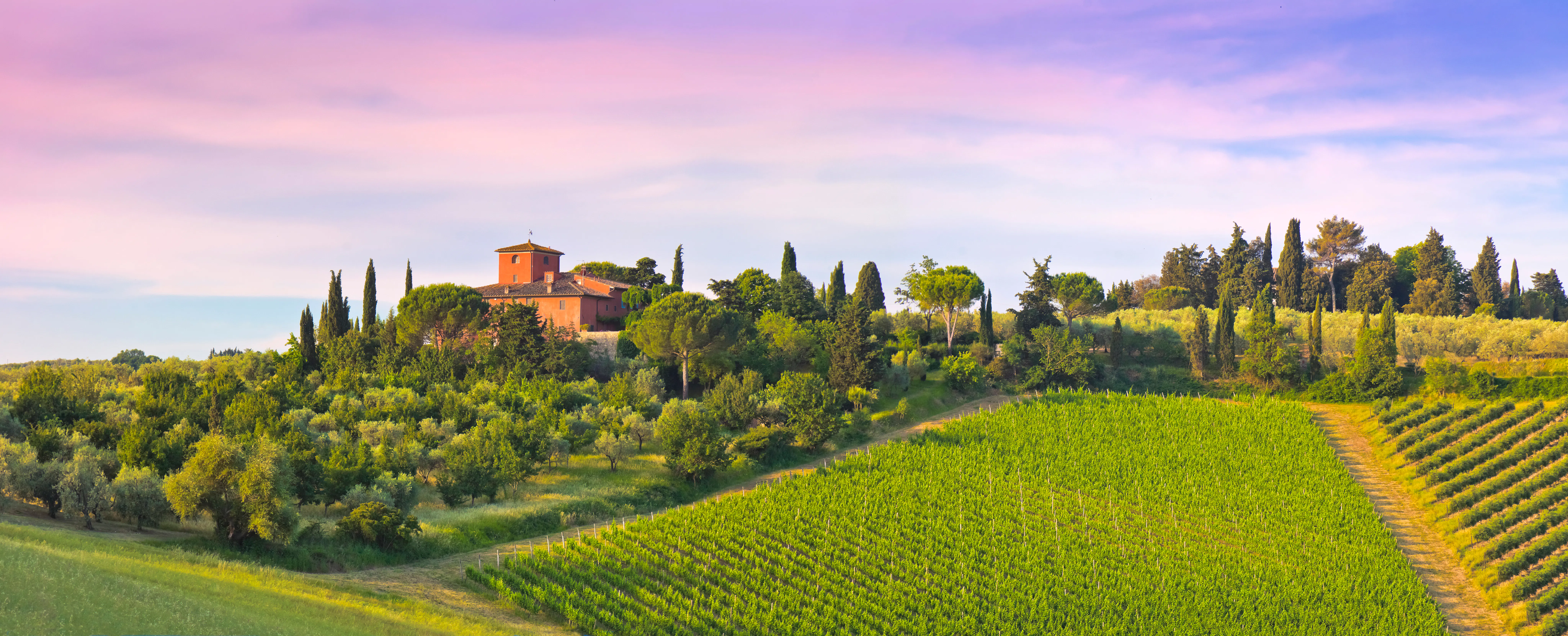 Quad Tour in Chianti, Tuscany 