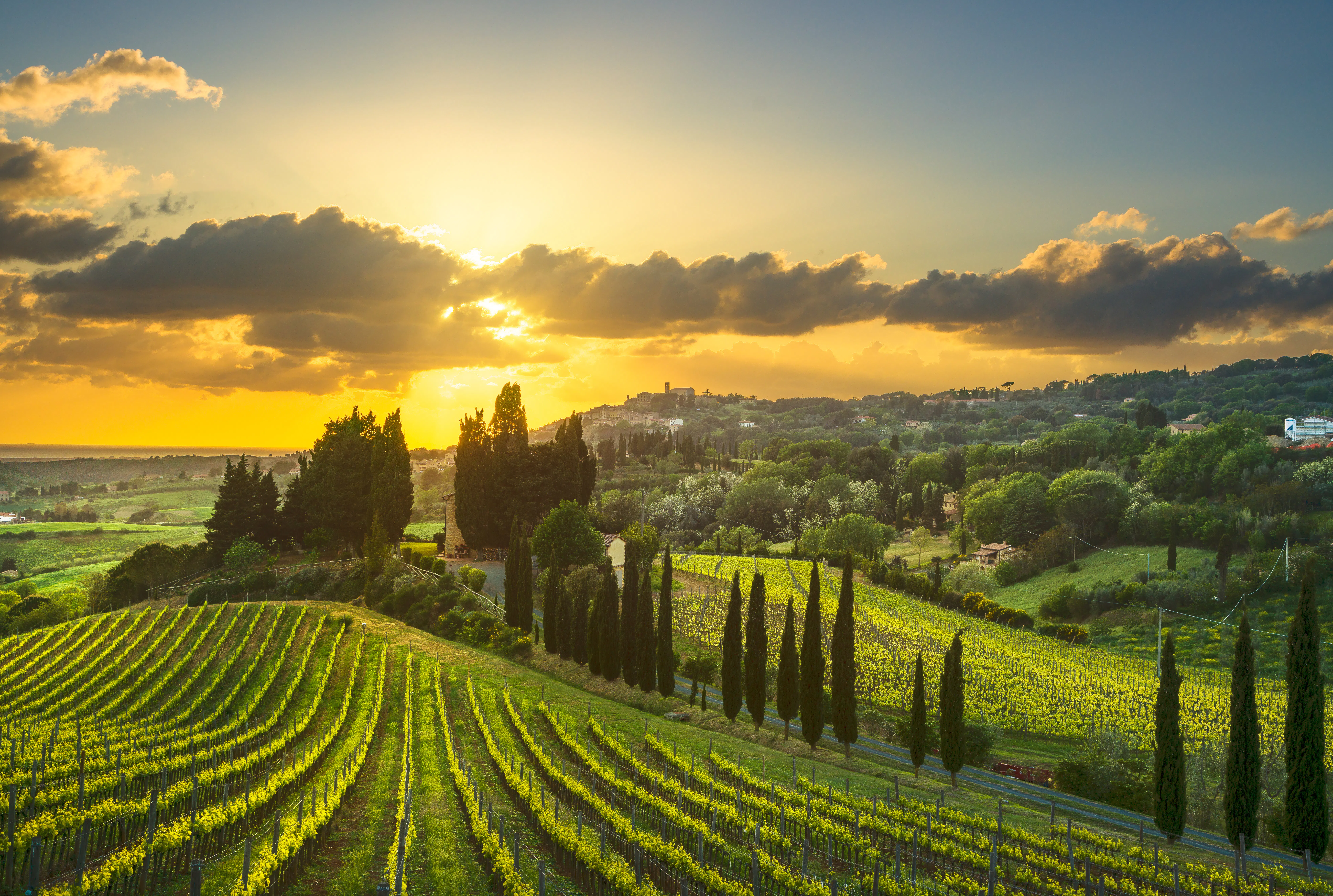 Quad Tour in Chianti, Tuscany 