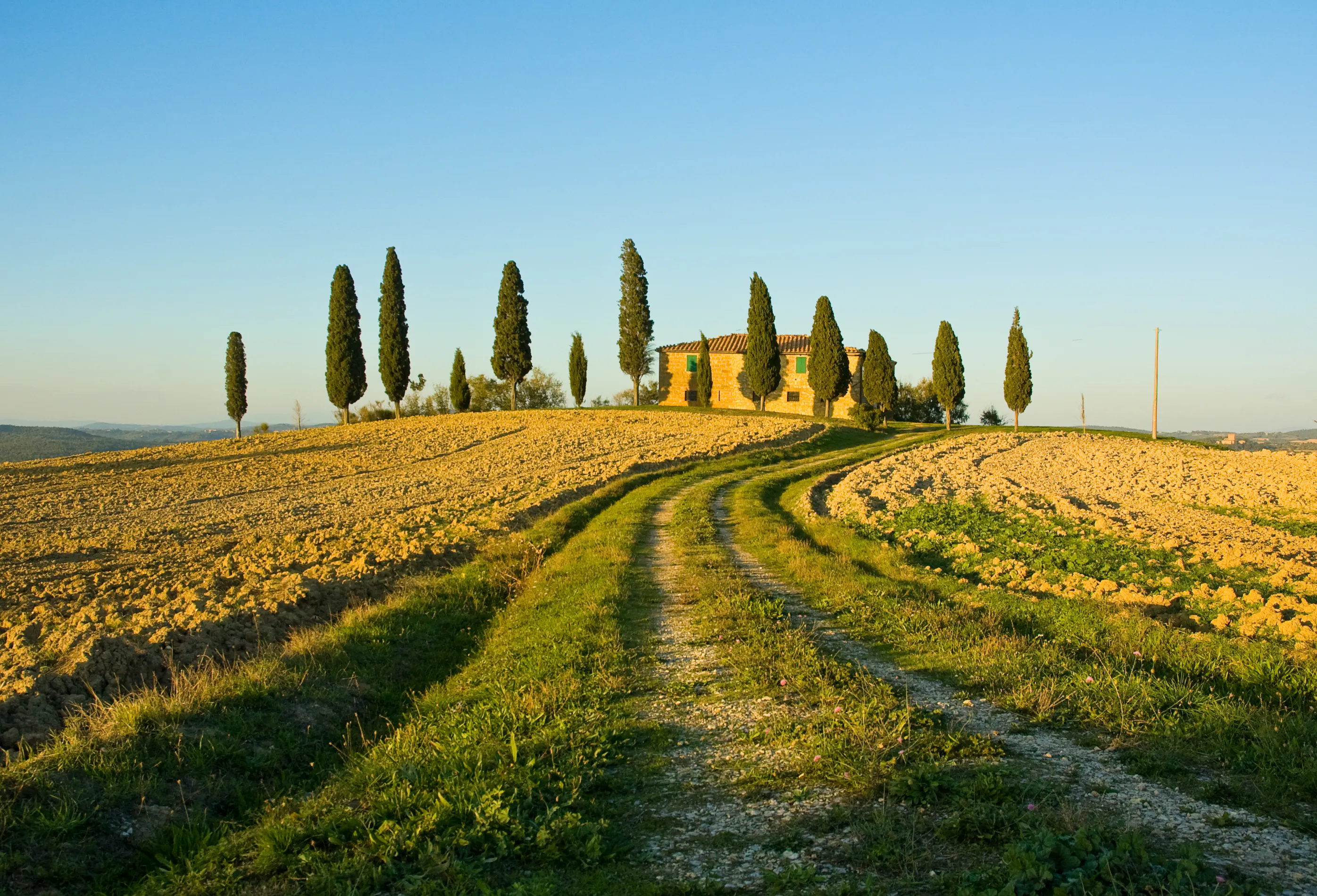 Quad Tour in Chianti, Tuscany 