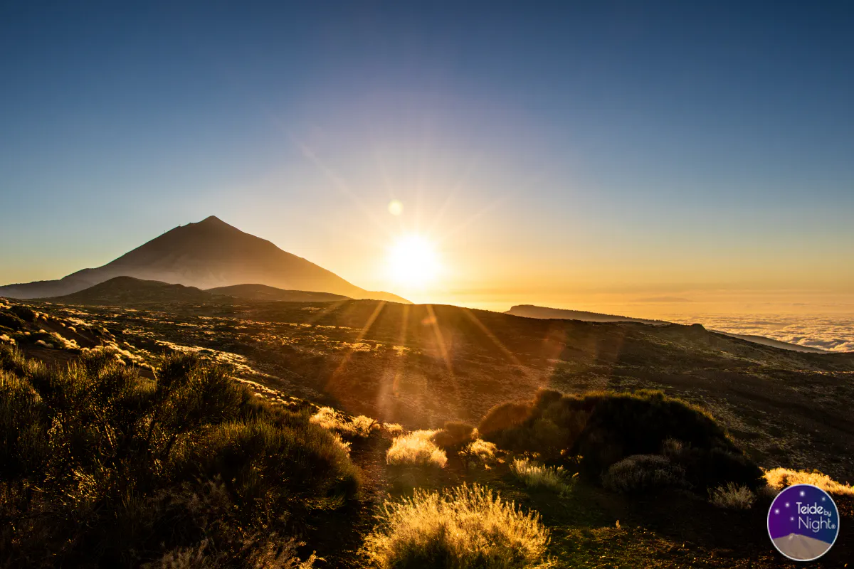 Stargazing in Tenerife