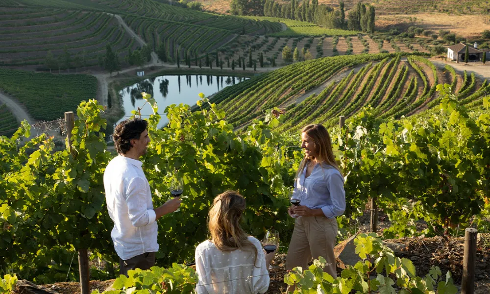 Vintage Sailing Boat Tour with Wine Tastings & Winery Visits