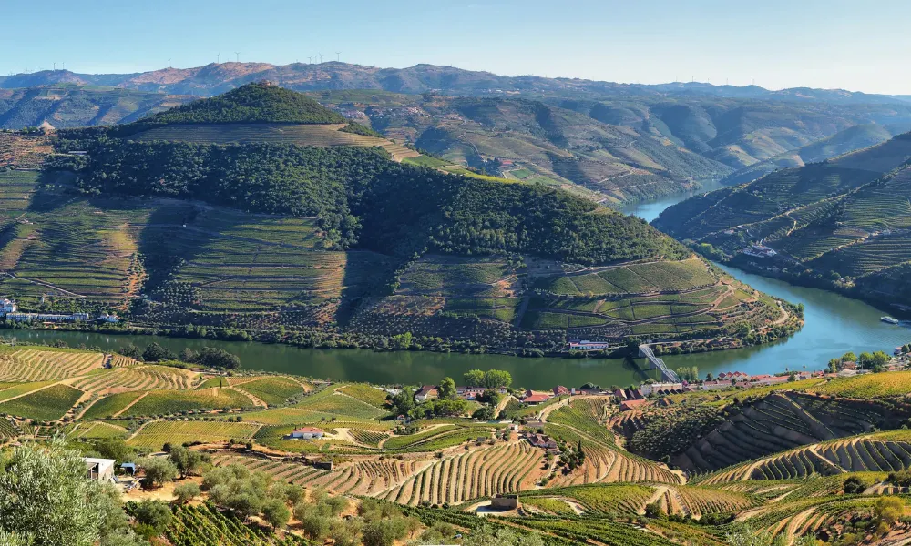 Vintage Sailing Boat Tour with Wine Tastings & Winery Visits