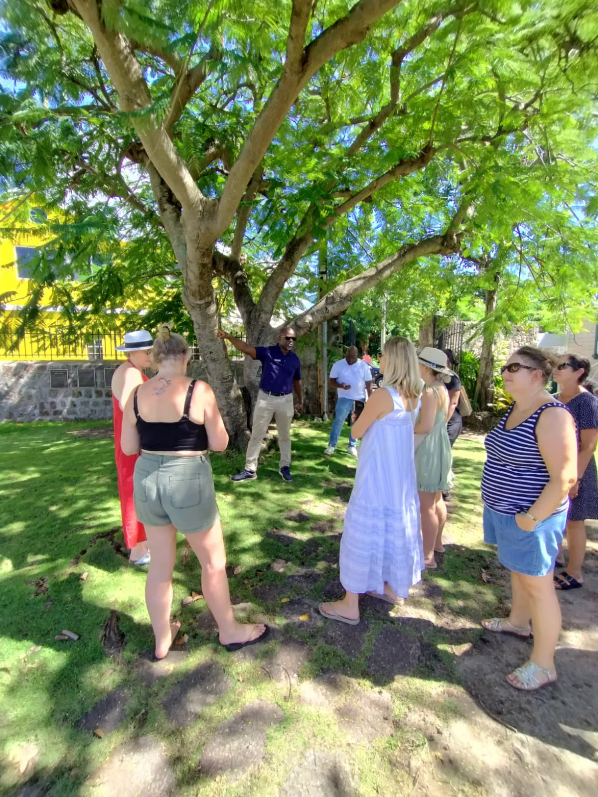 Alexander Hamilton Island Tour