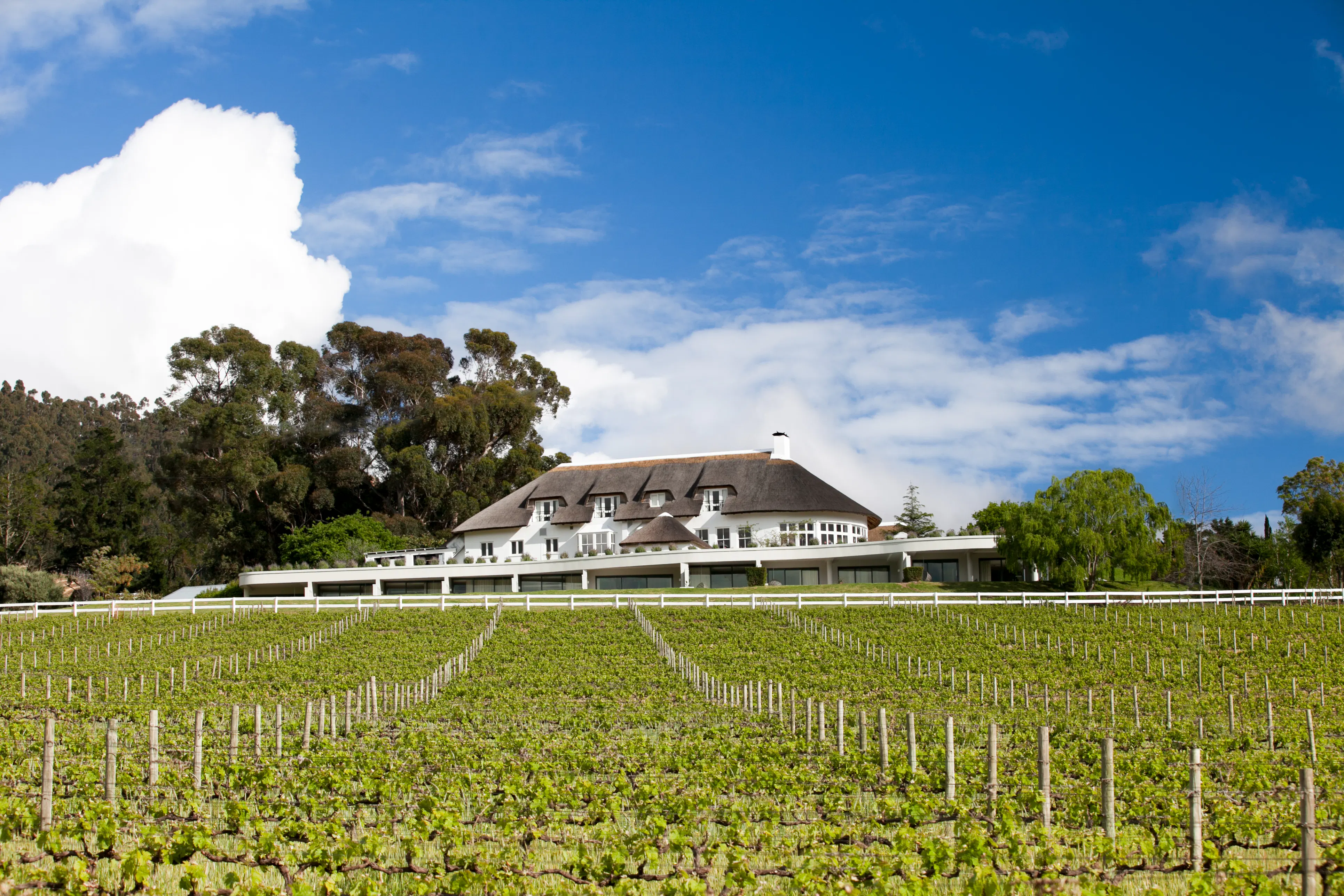 Epicurean Escapes: Extraordinary Food & Wine Experiences