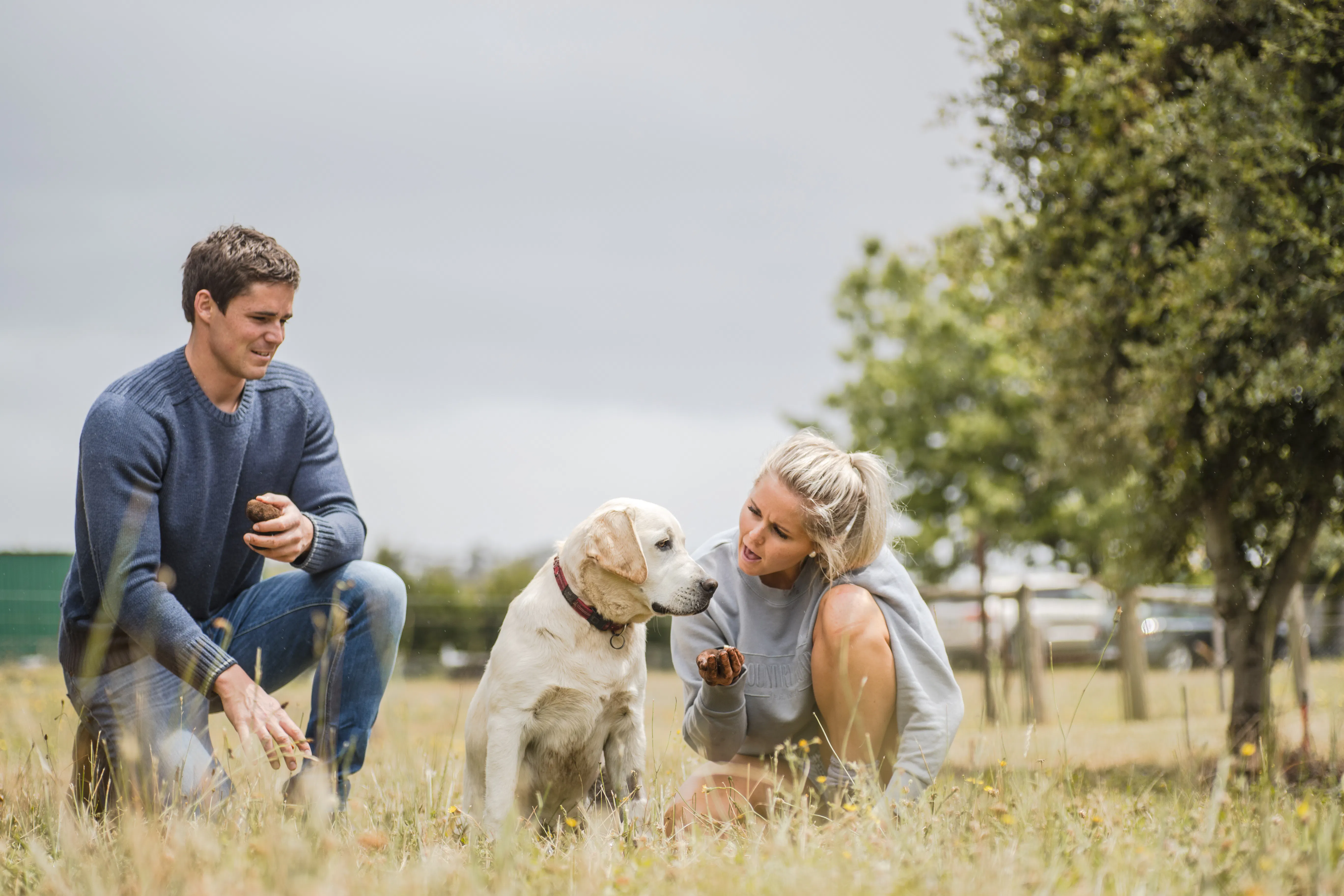 Summer Siesta Truffle Hunting - The Truffle Farm Tasmania